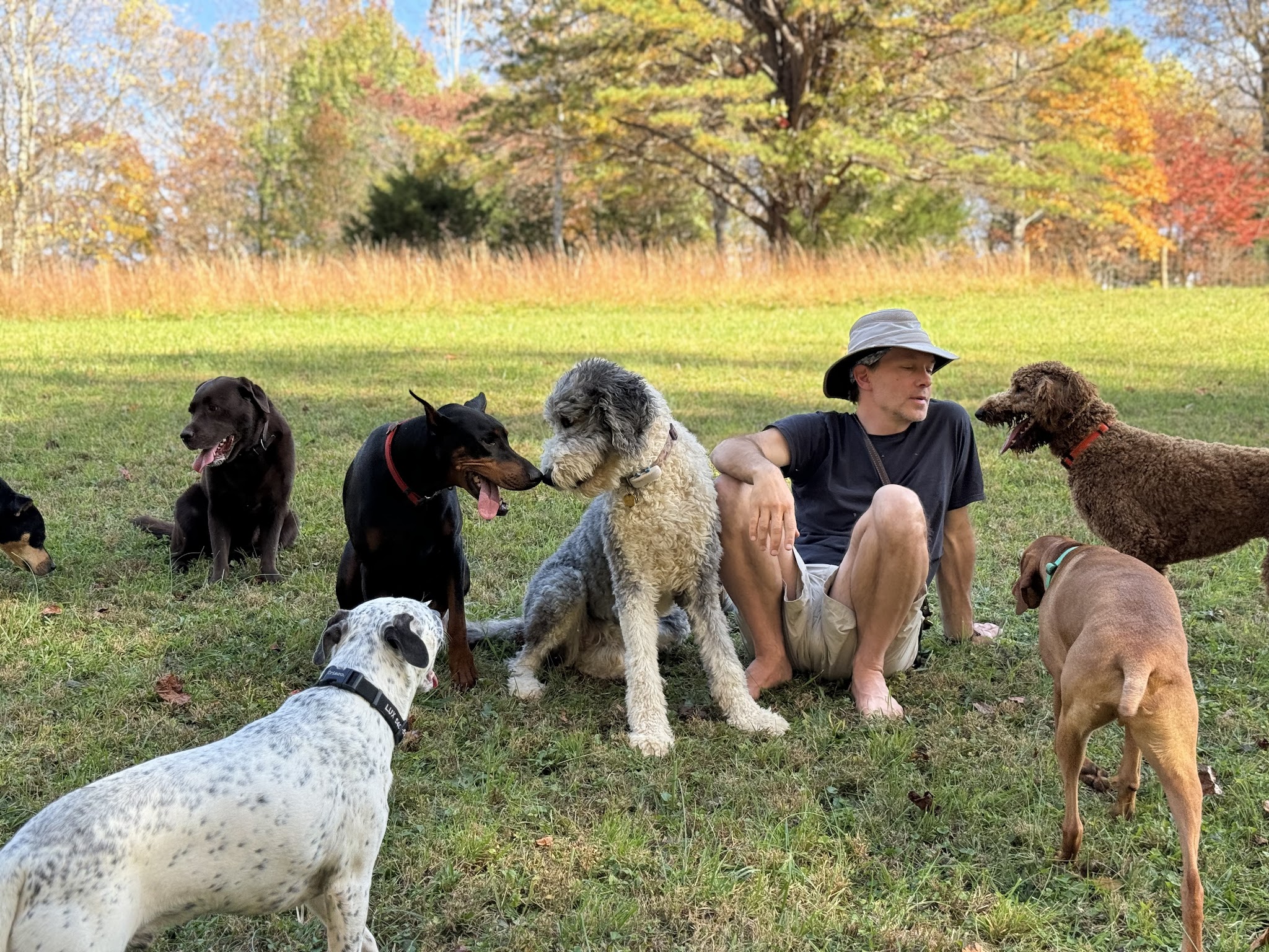Happy Hound K9 Social Club - Big Island, VA