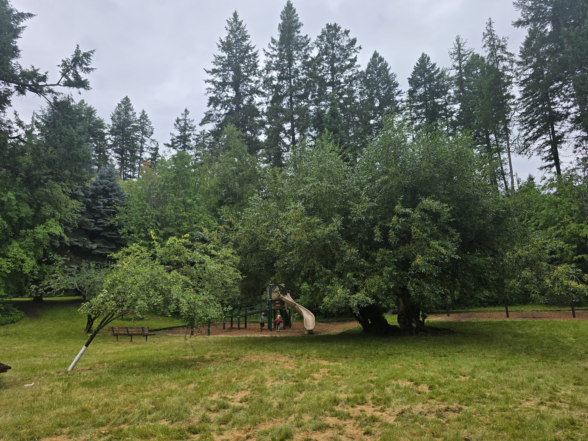 Sliter's Park - Bigfork, MT