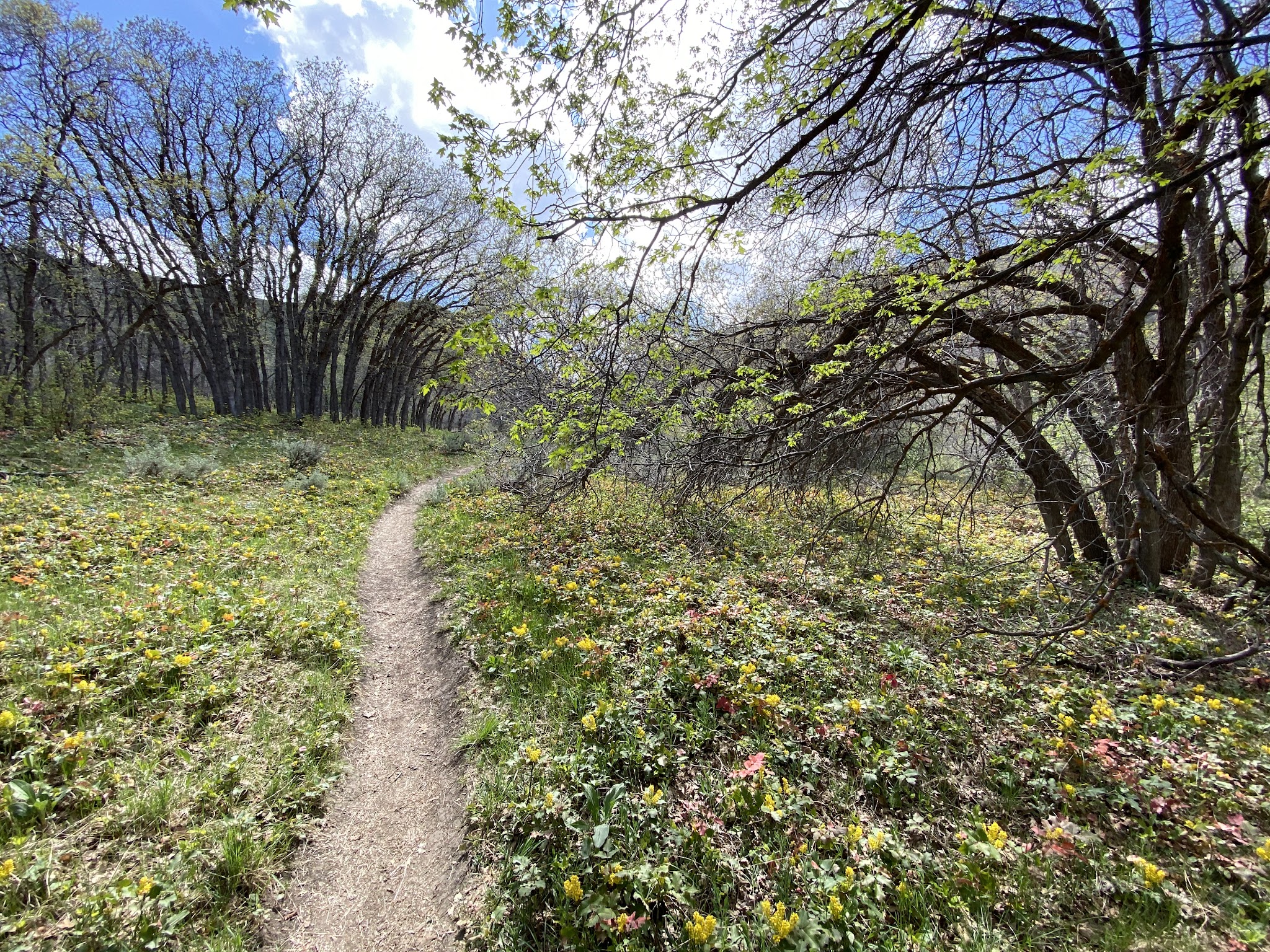 Butterfield Canyon - Bingham Canyon, UT
