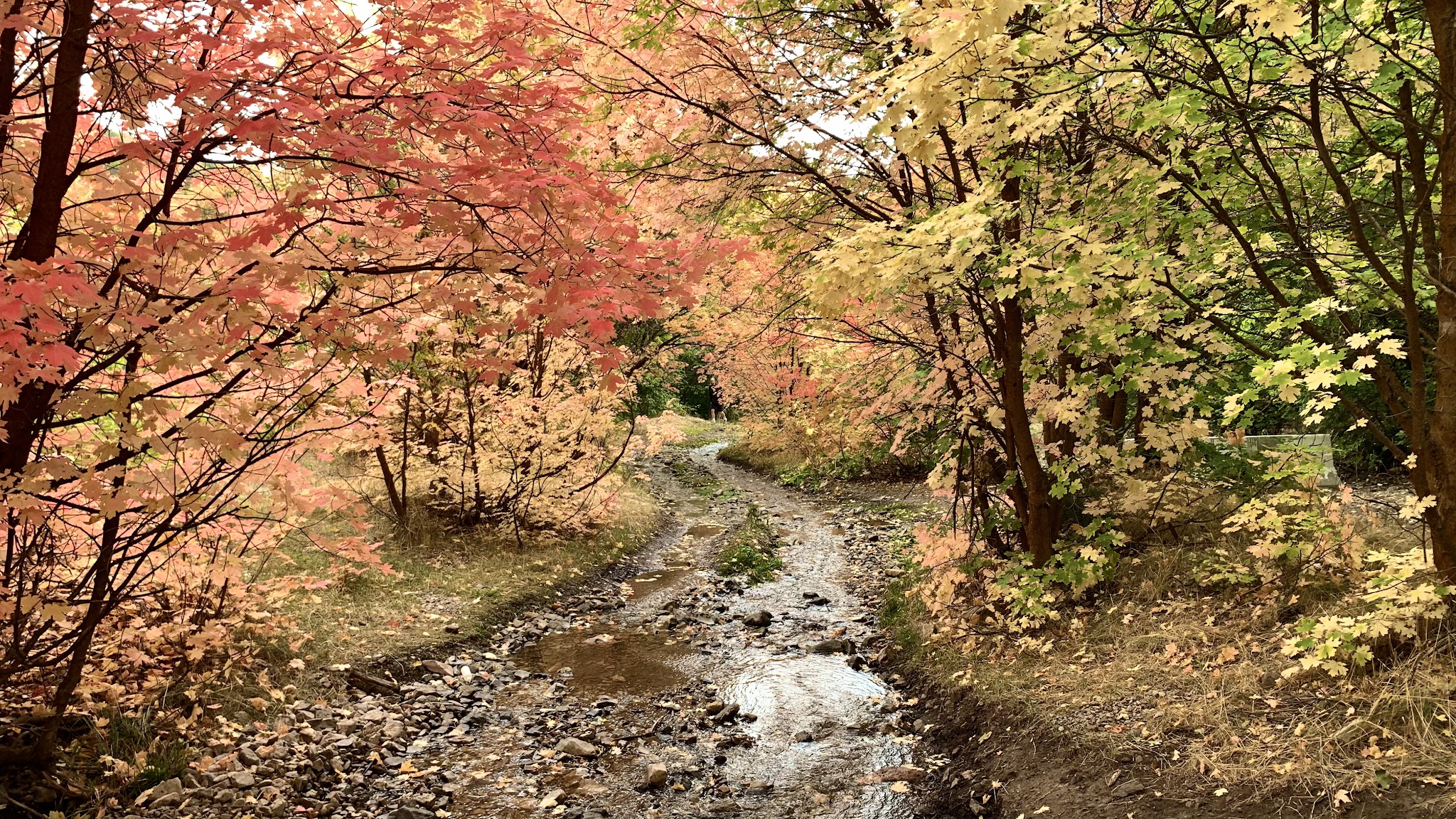 Butterfield Canyon - Bingham Canyon, UT