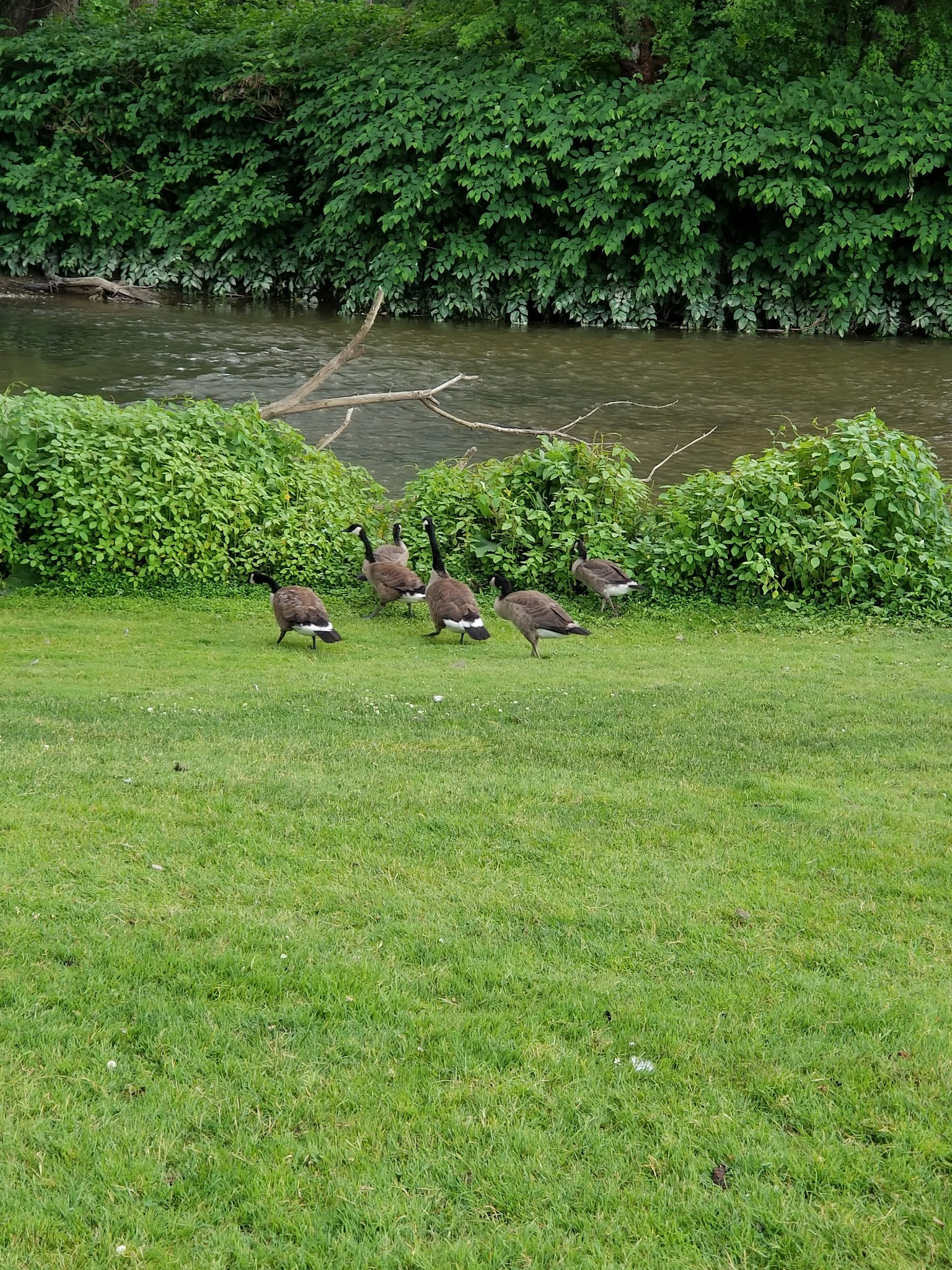 Chenango Bridge Park - Binghamton, NY