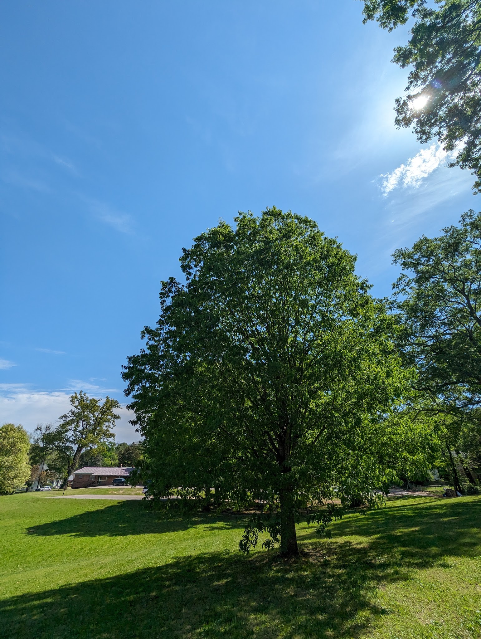 Exchange Park - Birmingham, AL