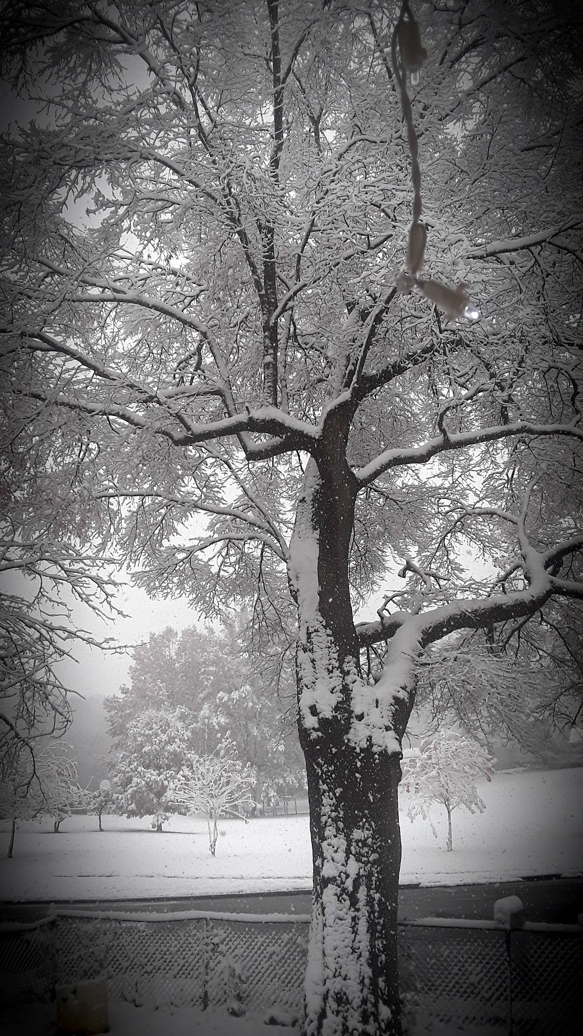 Exchange Park - Birmingham, AL