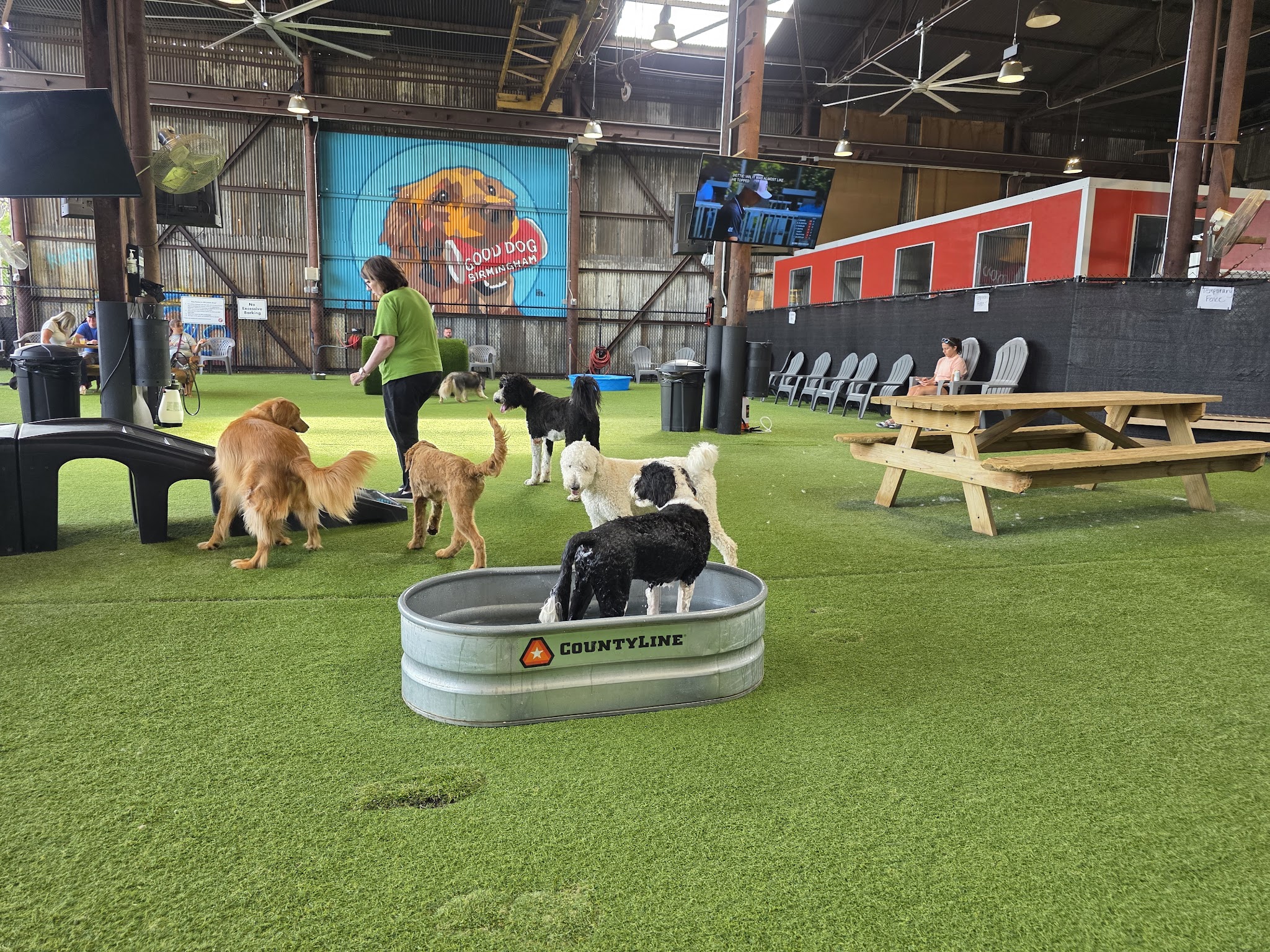 Good Dog Hotel + Bar + Park - Birmingham, AL