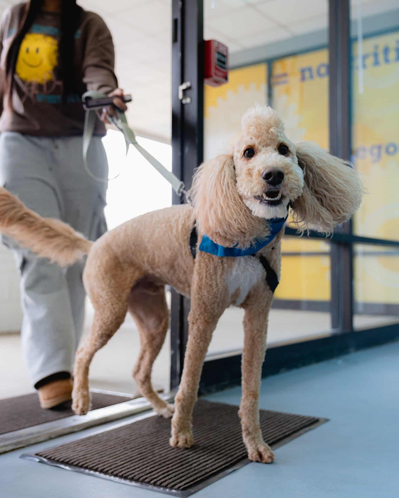 The Bark Park - Birmingham, AL