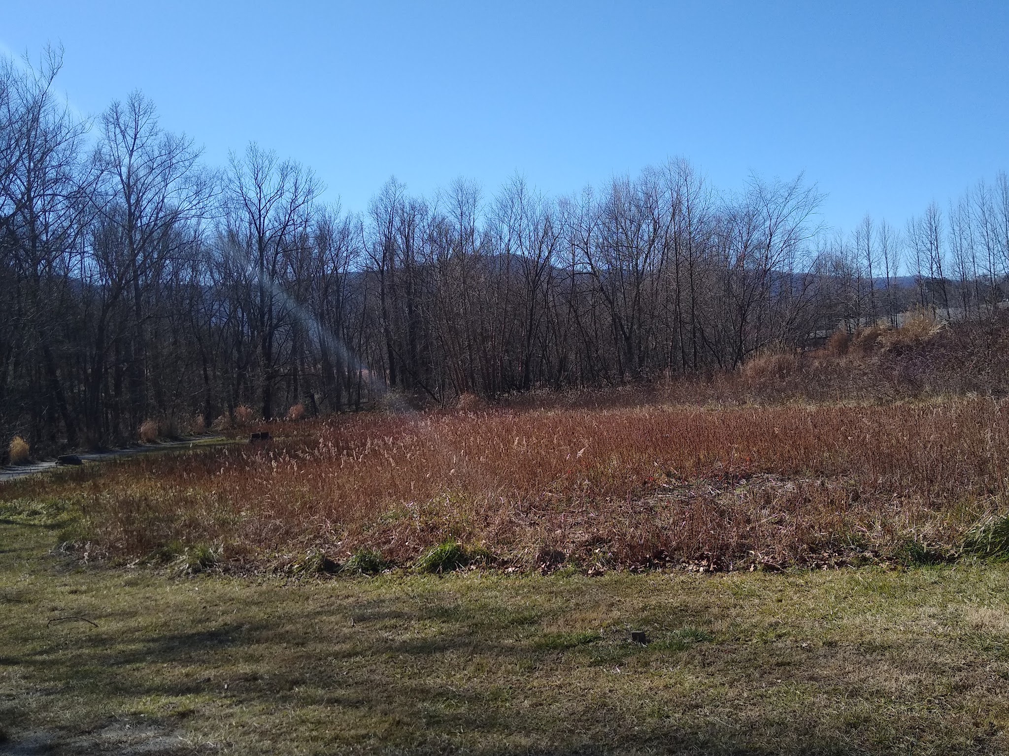 River Walk Dog Park - Black Mountain, NC