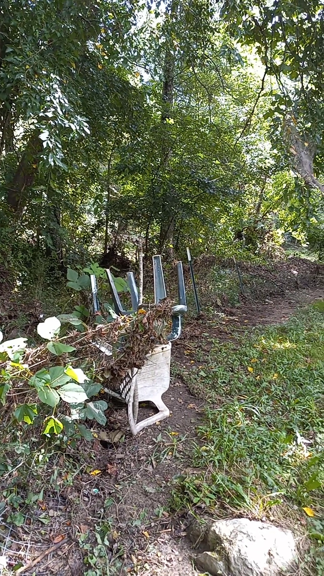 River Walk Dog Park - Black Mountain, NC