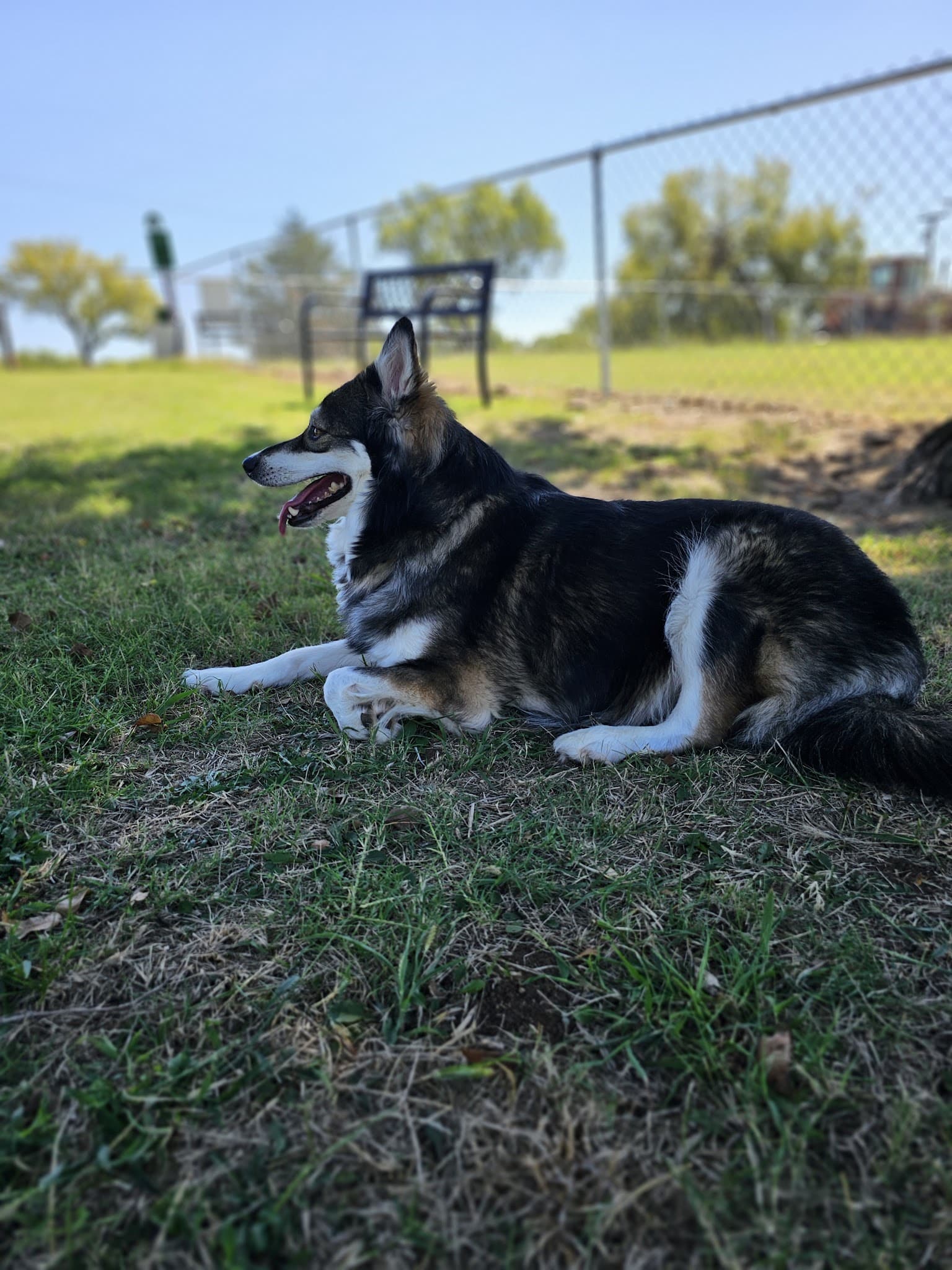 Pawnee Dog Park - Blackburn, OK