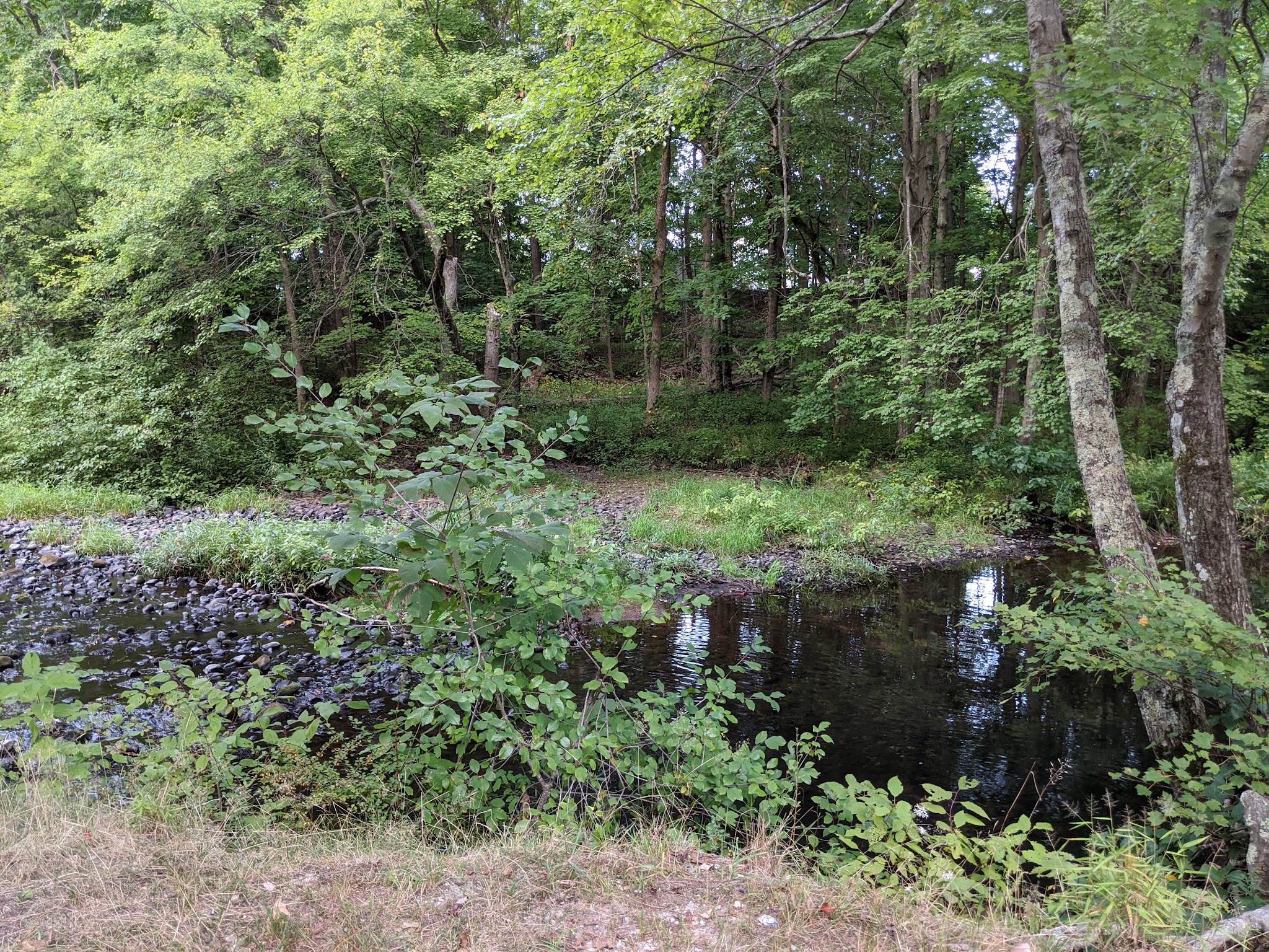 Attilio Valati Nature Park - Blackstone, MA