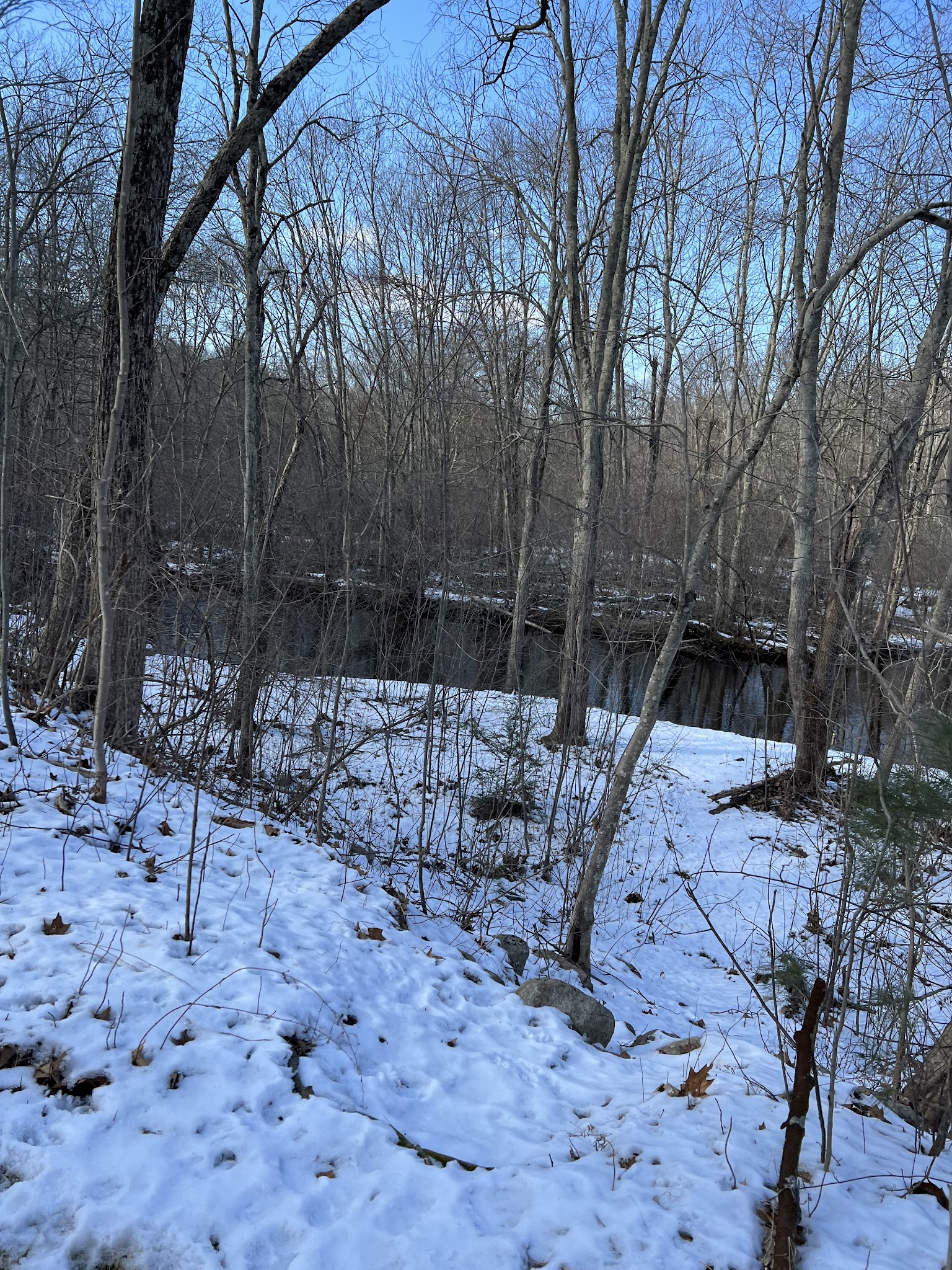 Attilio Valati Nature Park - Blackstone, MA