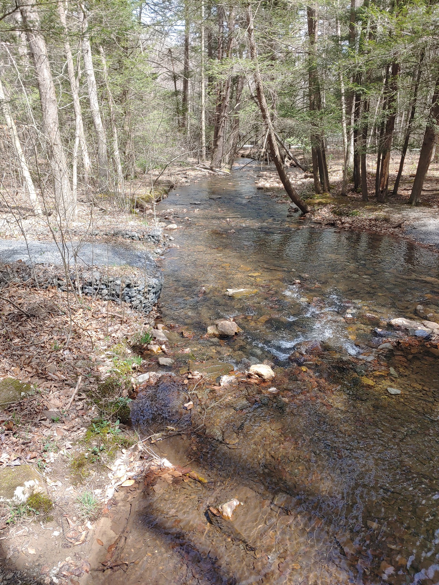 Fowlers Hollow State Park - Blain, PA