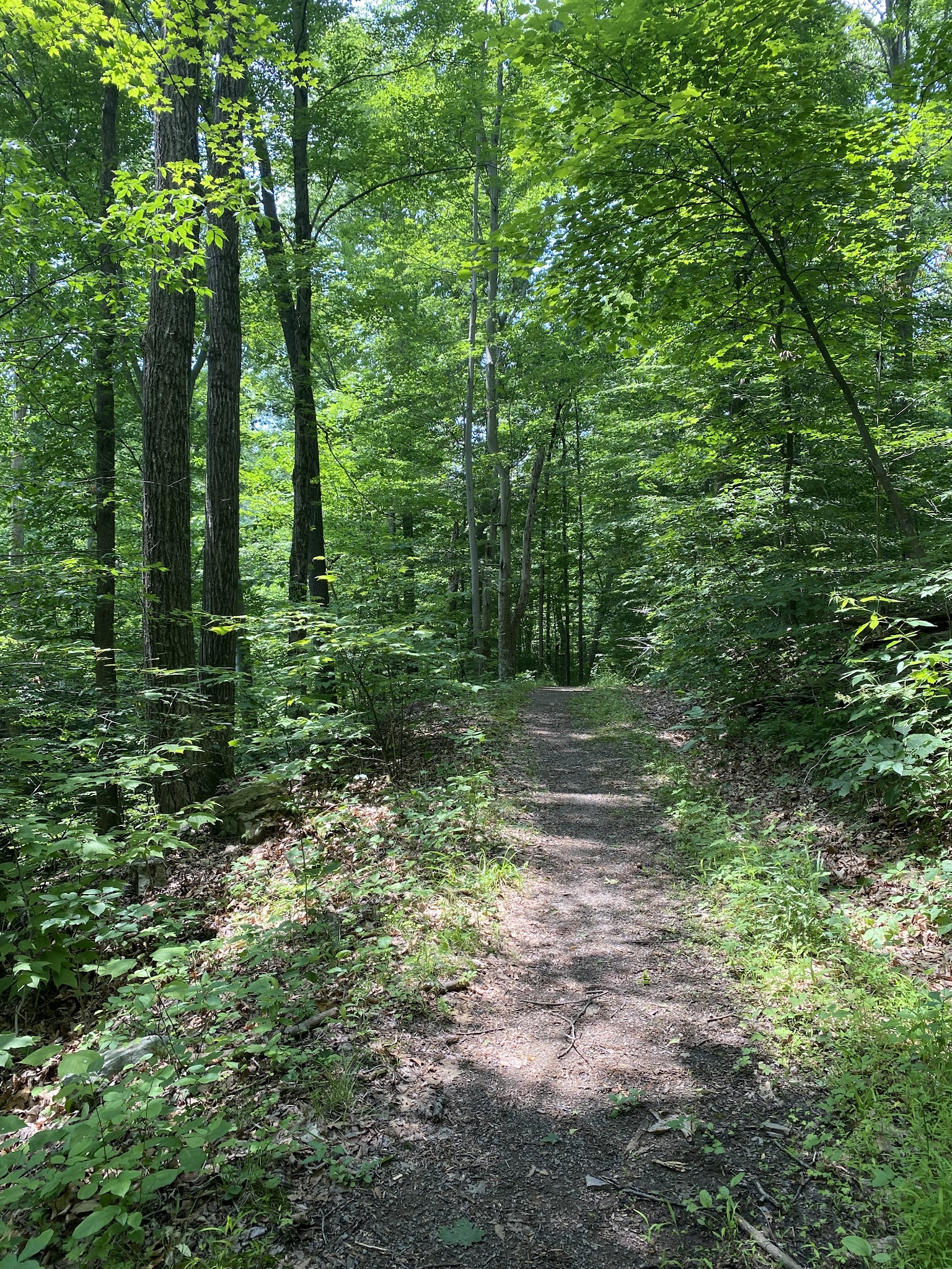 Fowlers Hollow State Park - Blain, PA
