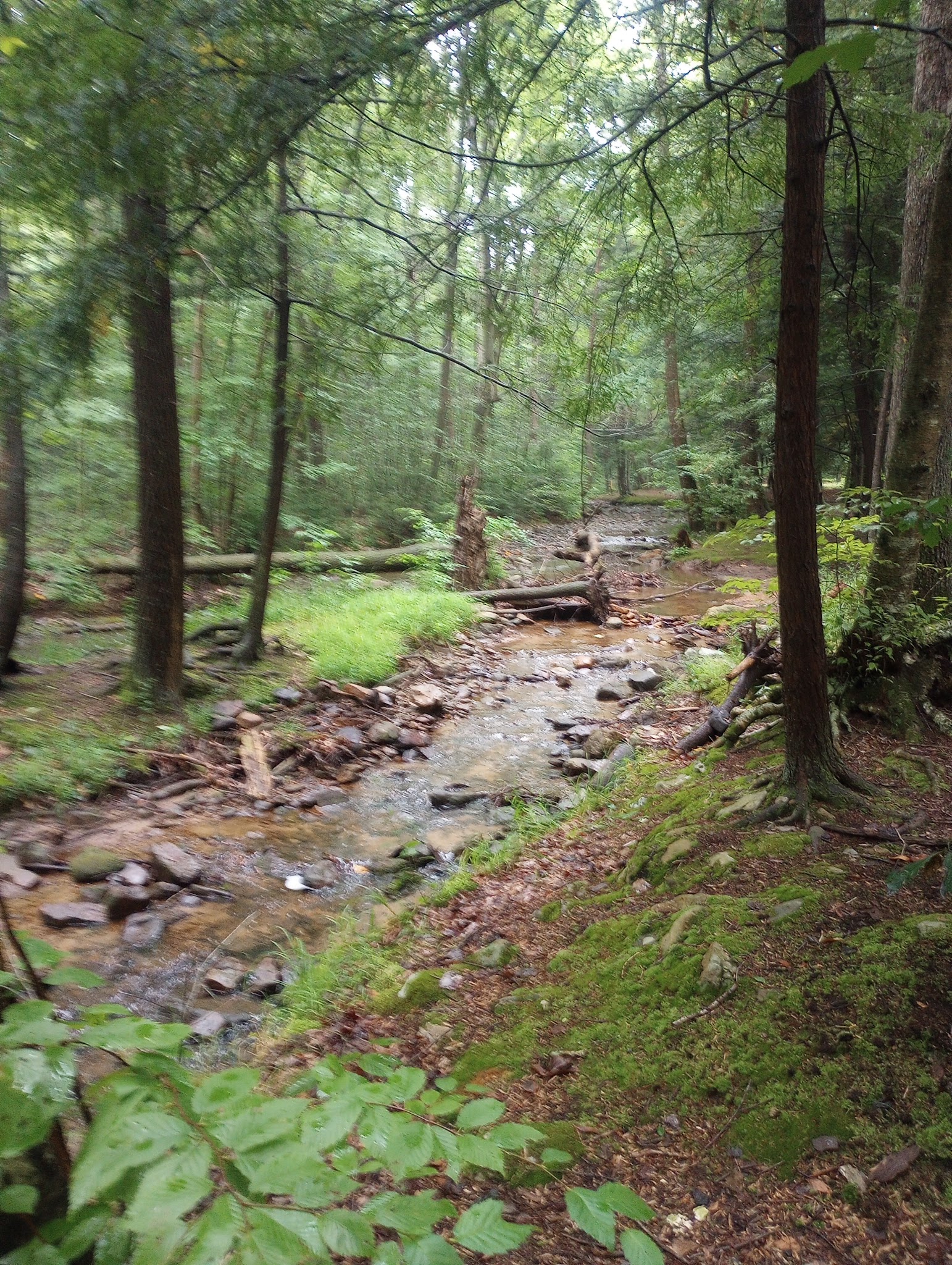 Fowlers Hollow State Park - Blain, PA