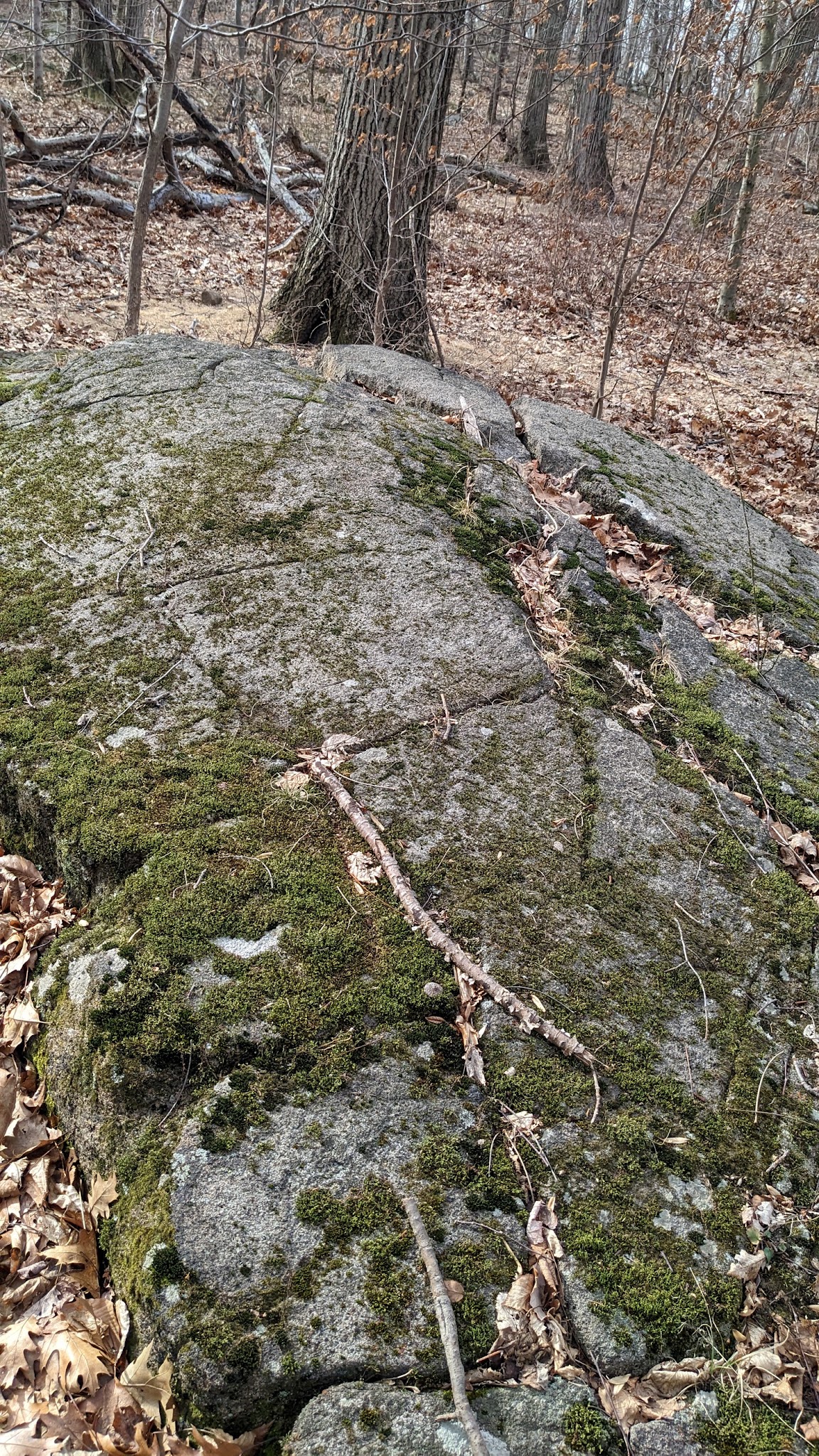 Tackamack North Park - Blauvelt, NY