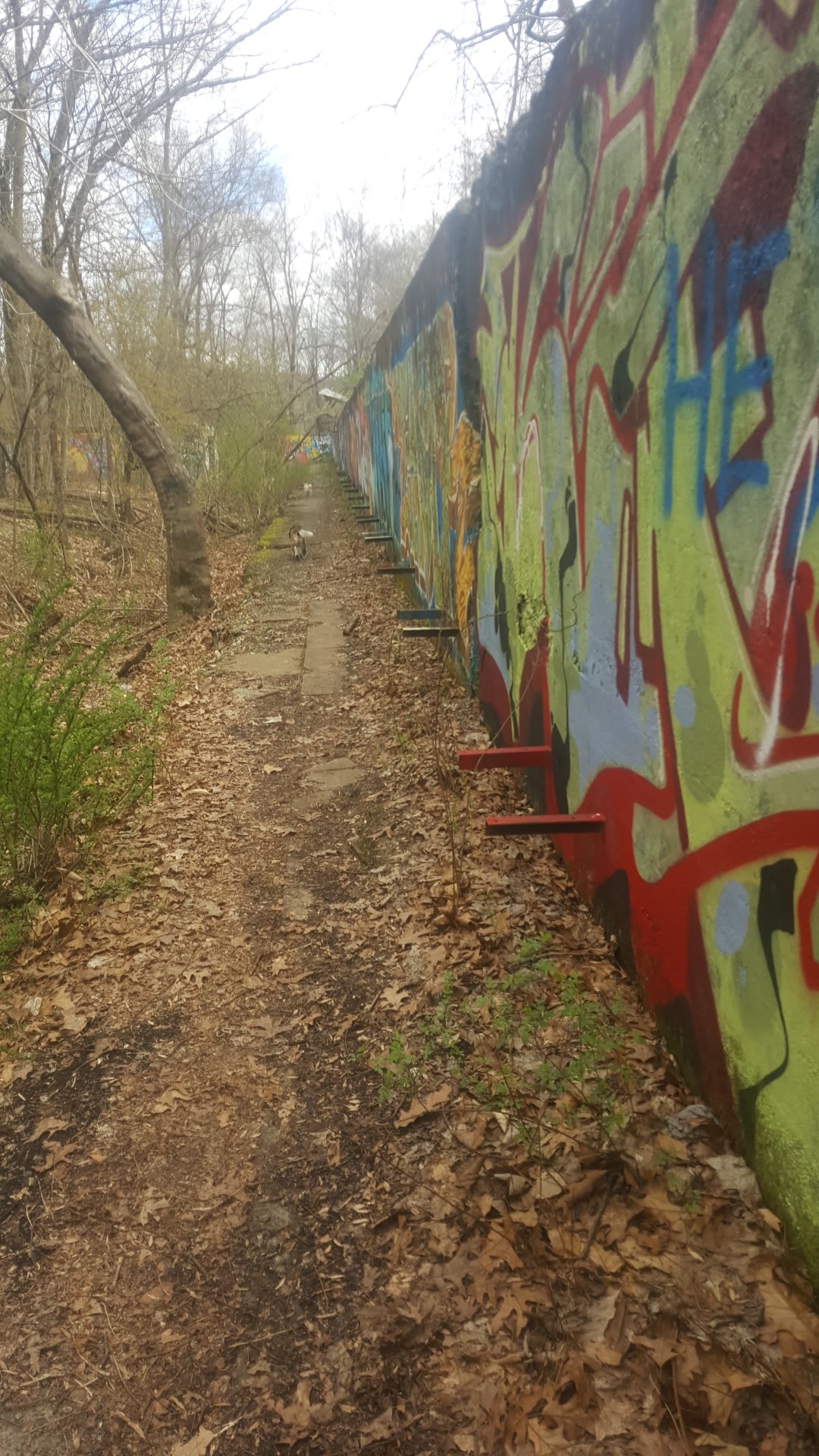 Tackamack North Park - Blauvelt, NY