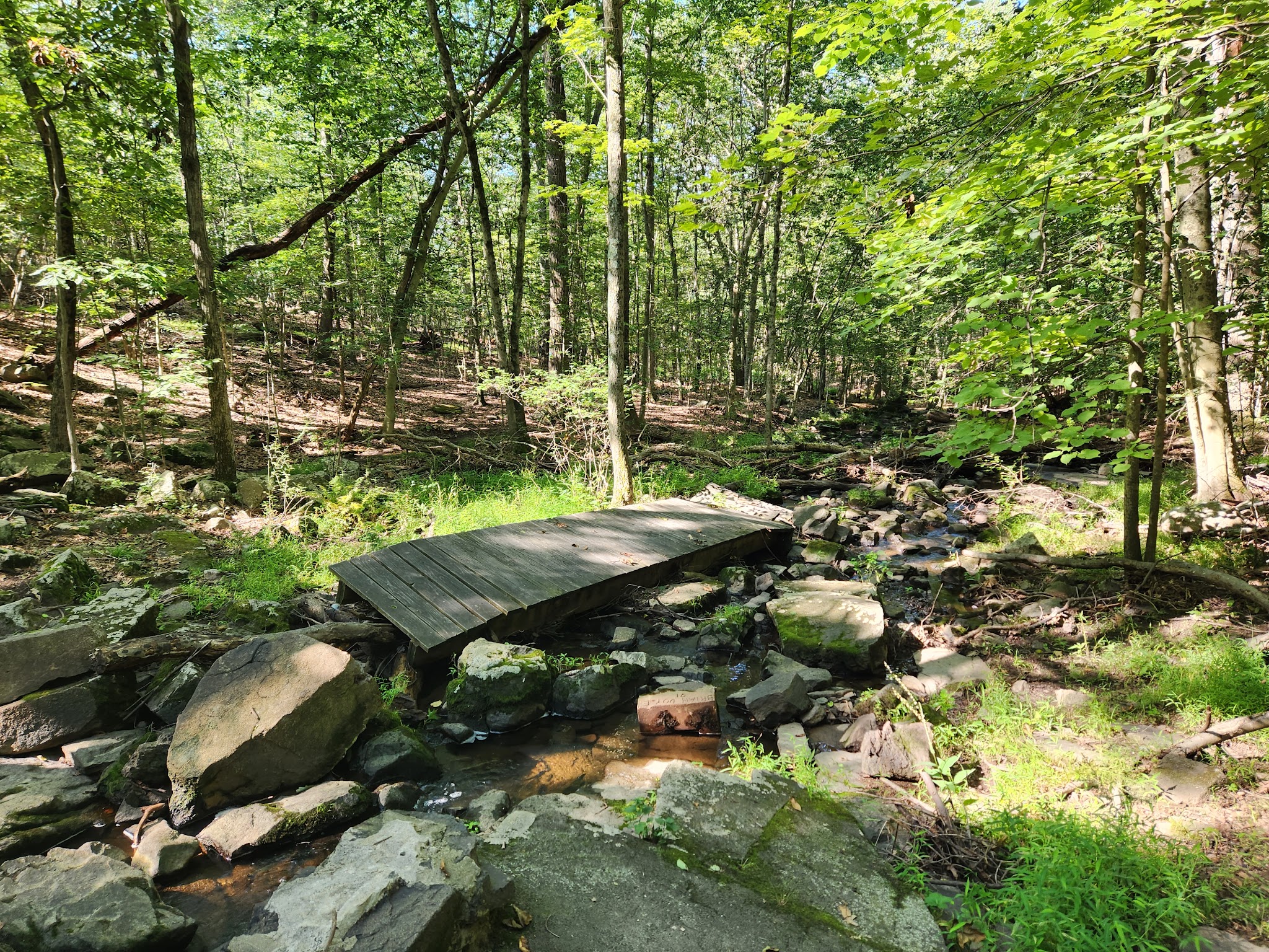 Tackamack North Park - Blauvelt, NY