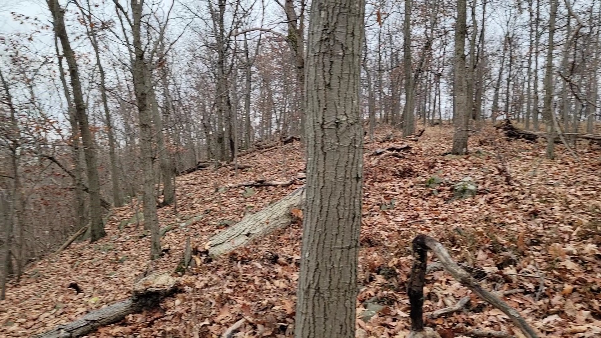 Blauvelt State Park - Blauvelt, NY