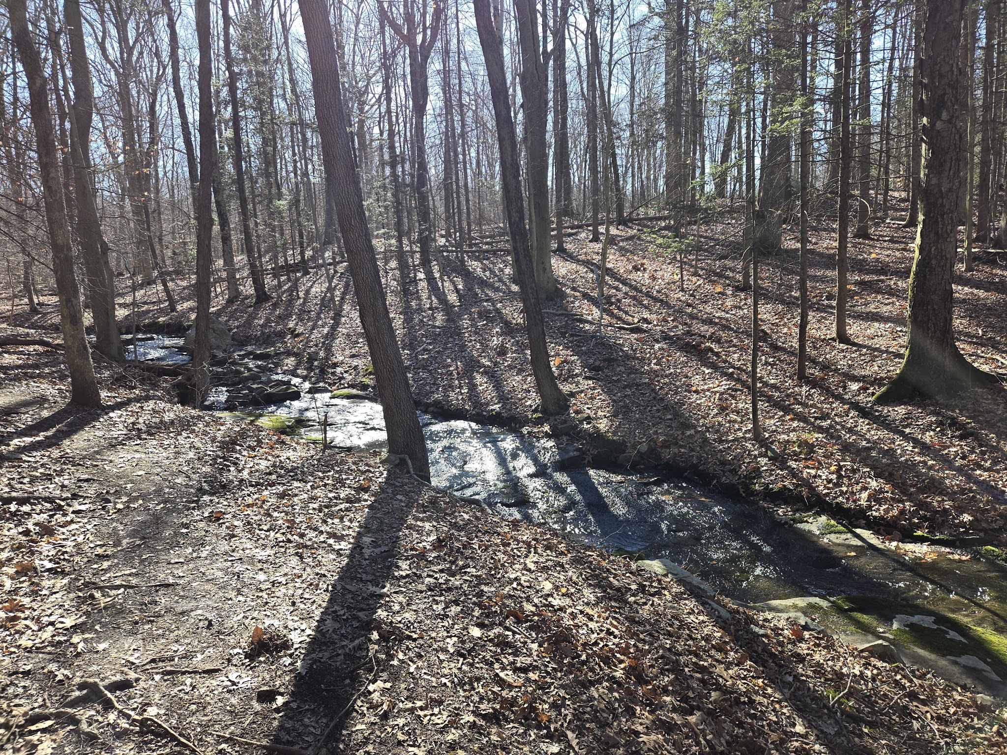 Blauvelt State Park - Blauvelt, NY
