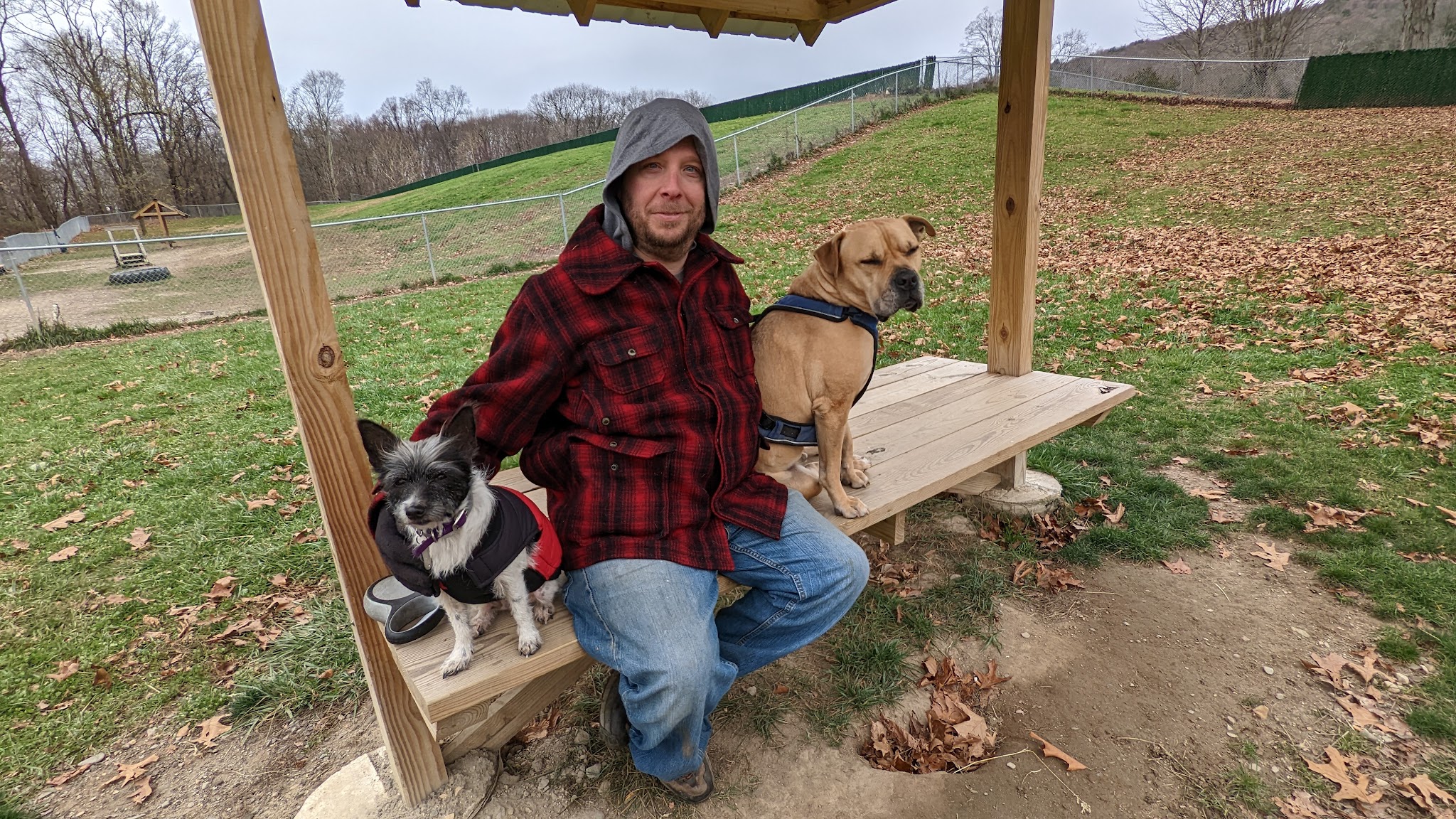 Central Bark, off leash Dog Park - Bloomingburg, NY