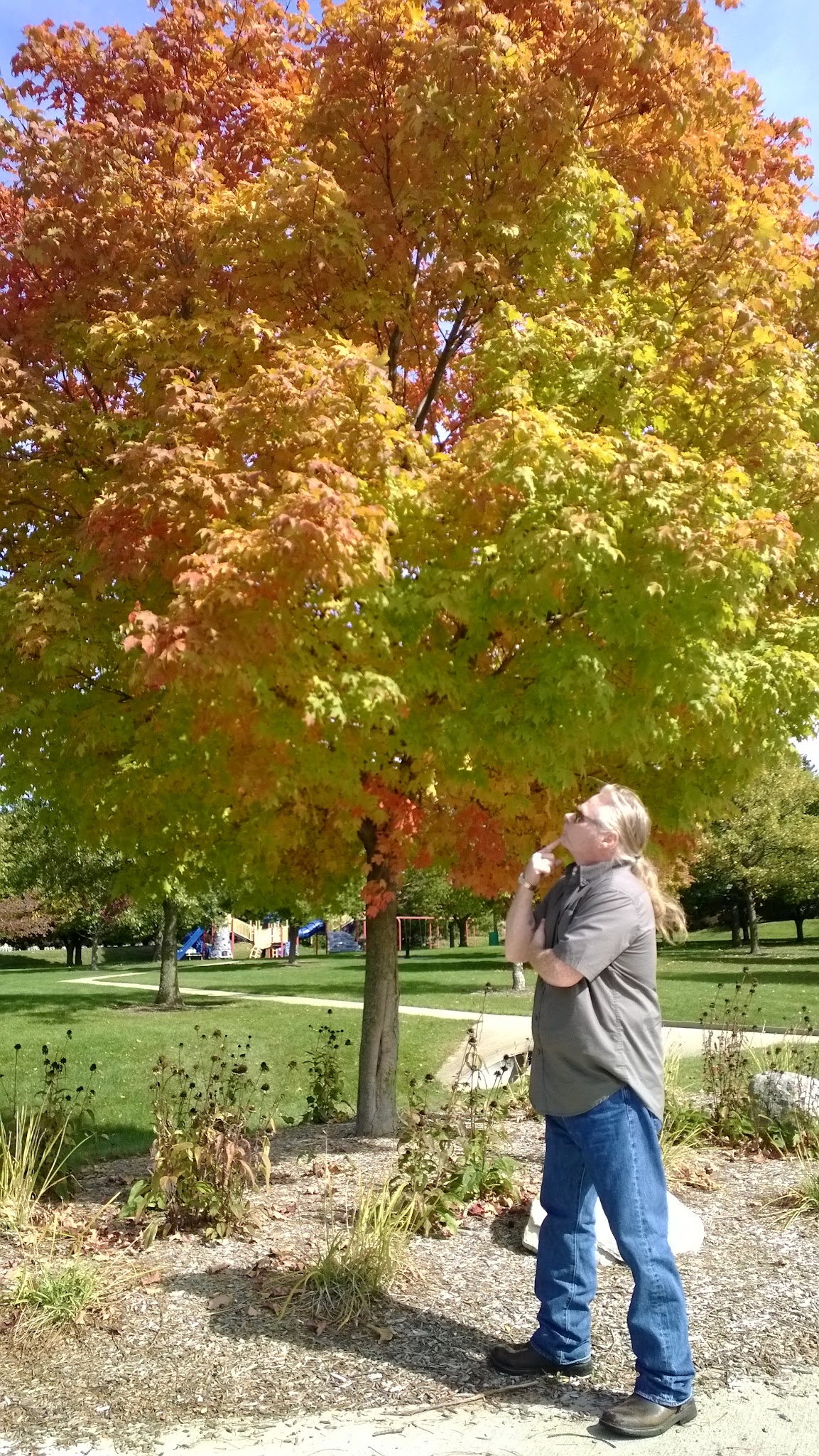 Brookridge Park - Bloomington, IL