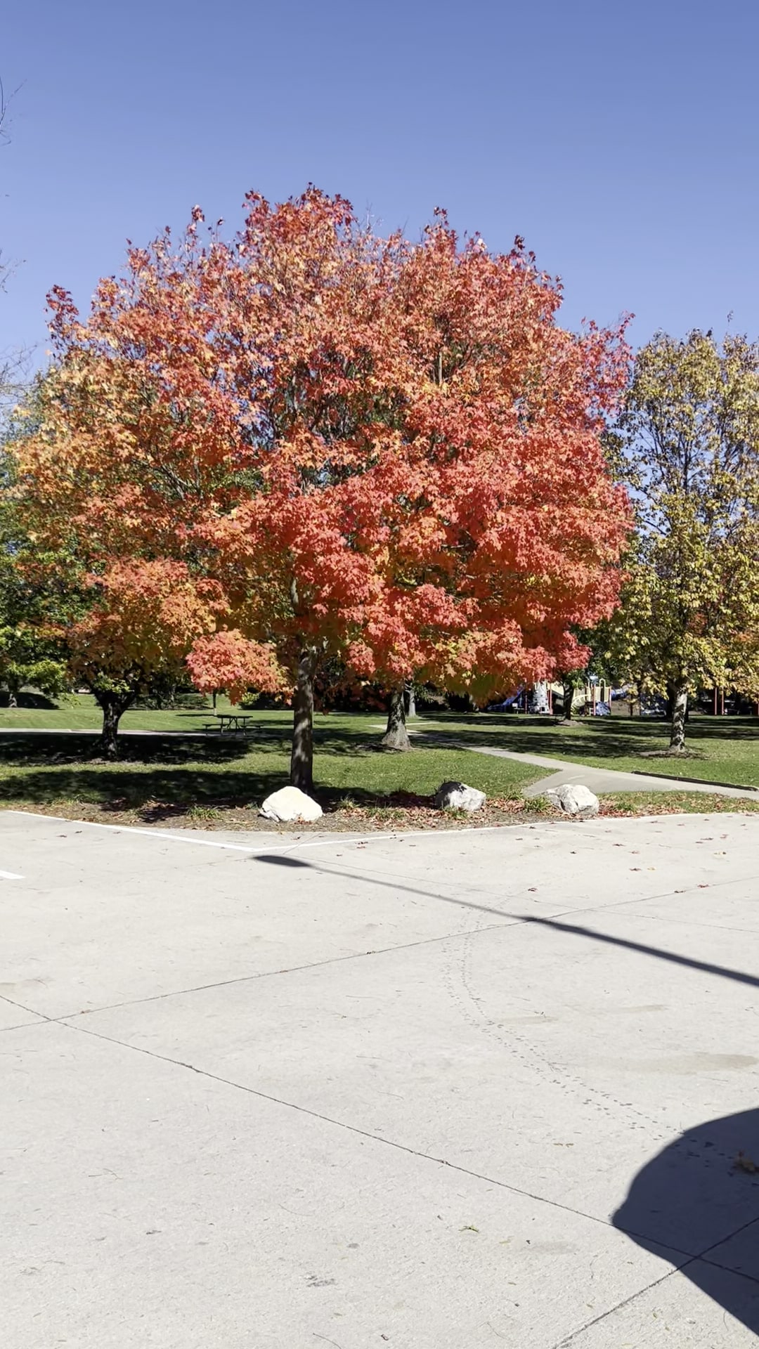 Brookridge Park - Bloomington, IL