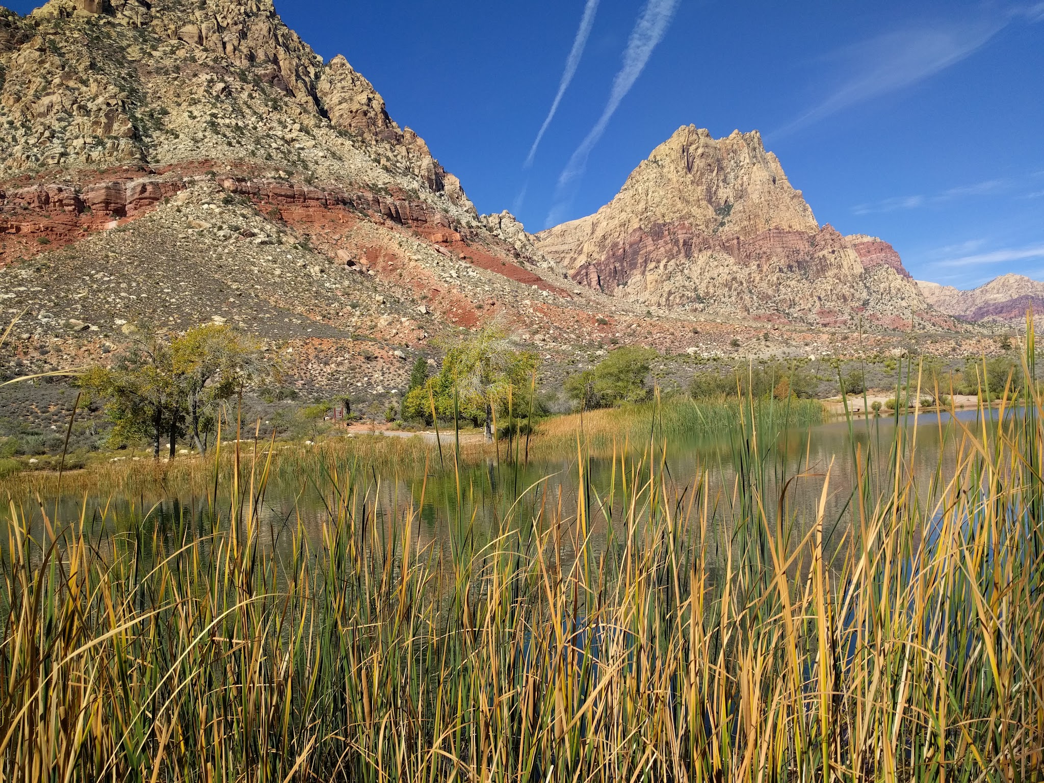 Spring Mountain Ranch State Park - Blue Diamond, NV