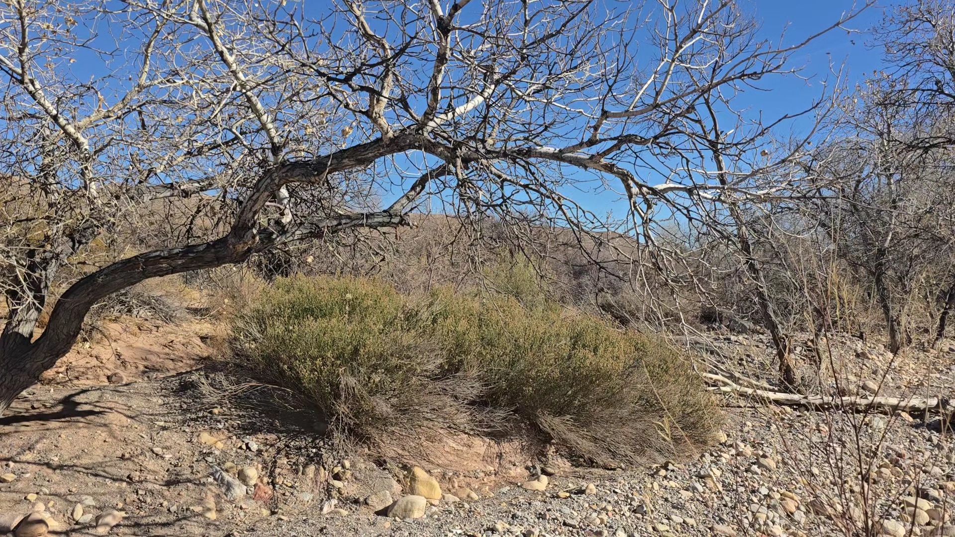 Wheeler Camp Spring Parking - Blue Diamond, NV