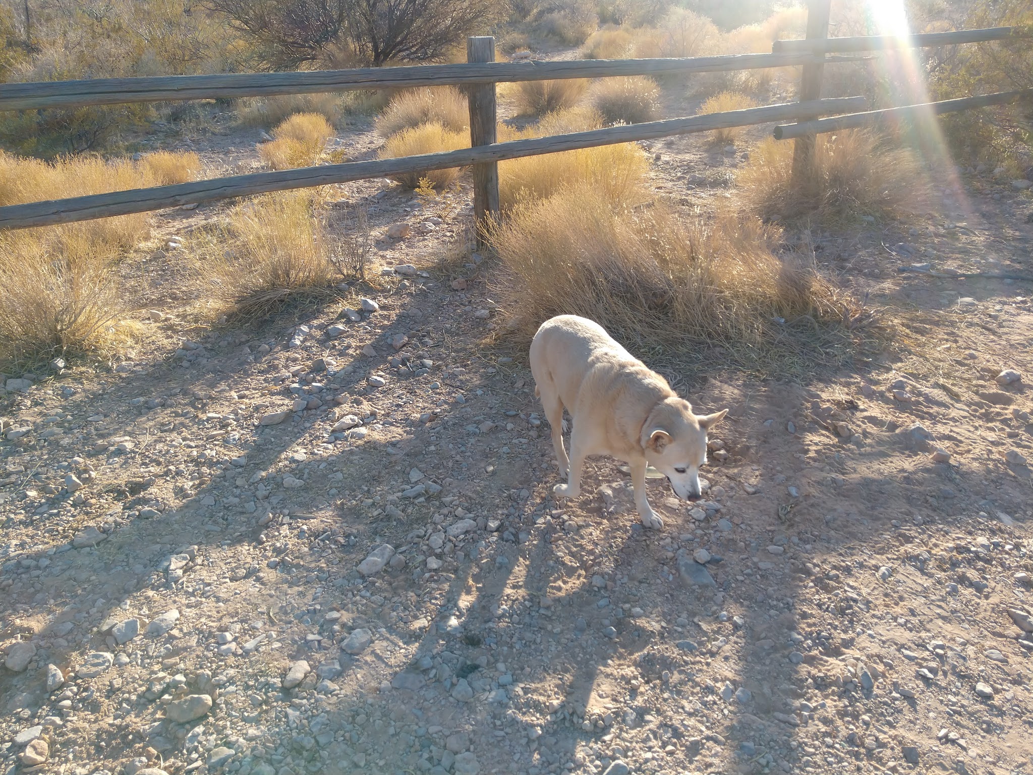 Wheeler Camp Spring Parking - Blue Diamond, NV