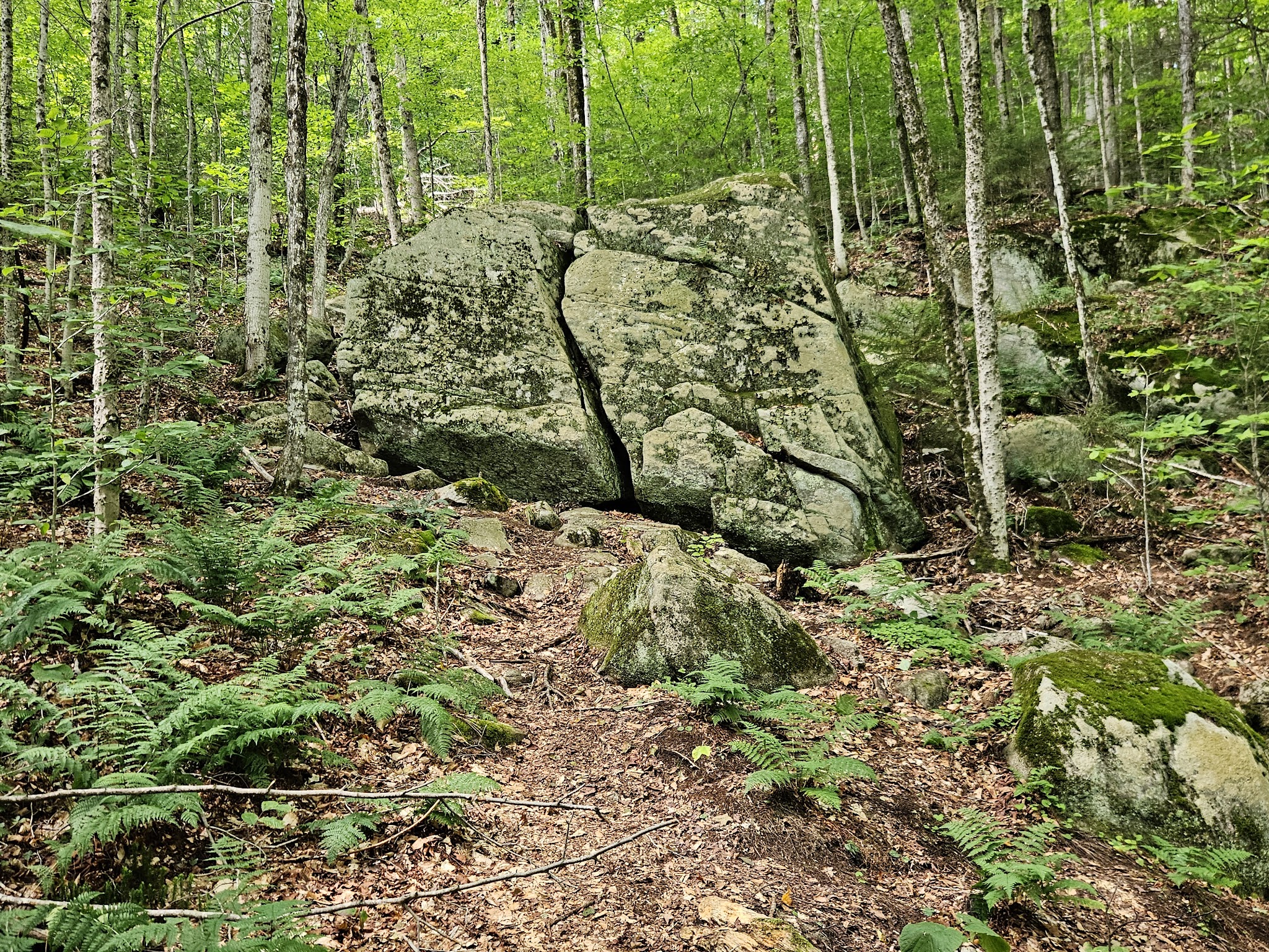 Castle Rock Trailhead - Blue Mountain Lake, NY
