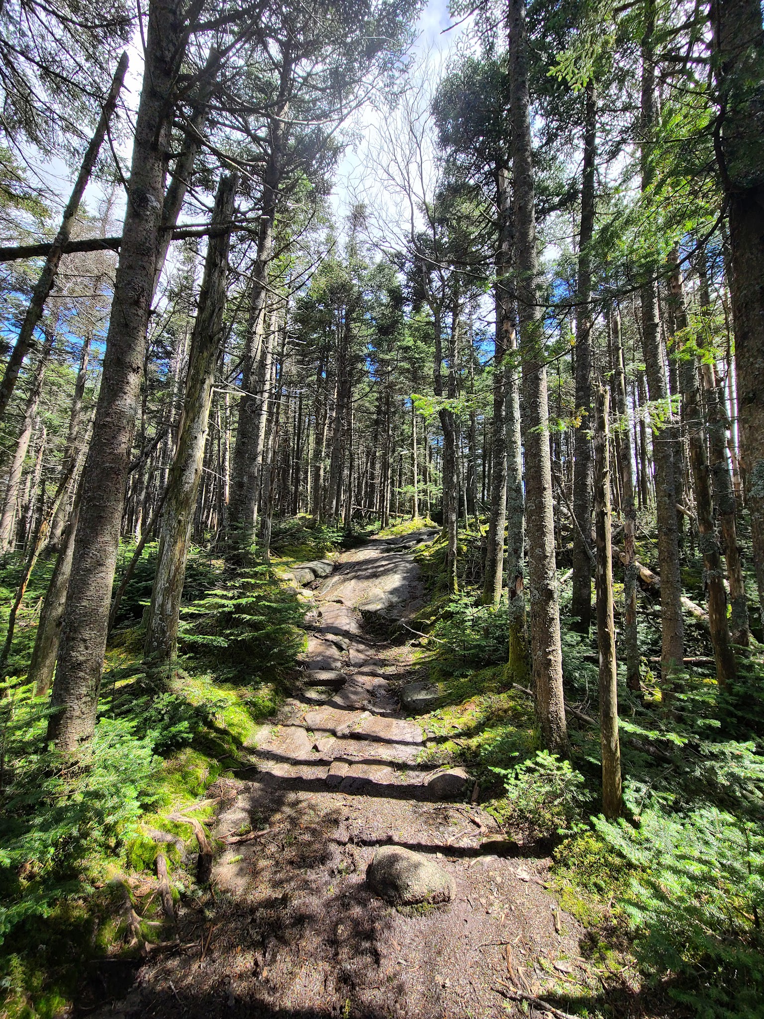 Blue Mountain Fire Tower/Hiking Trail - Blue Mountain Lake, NY