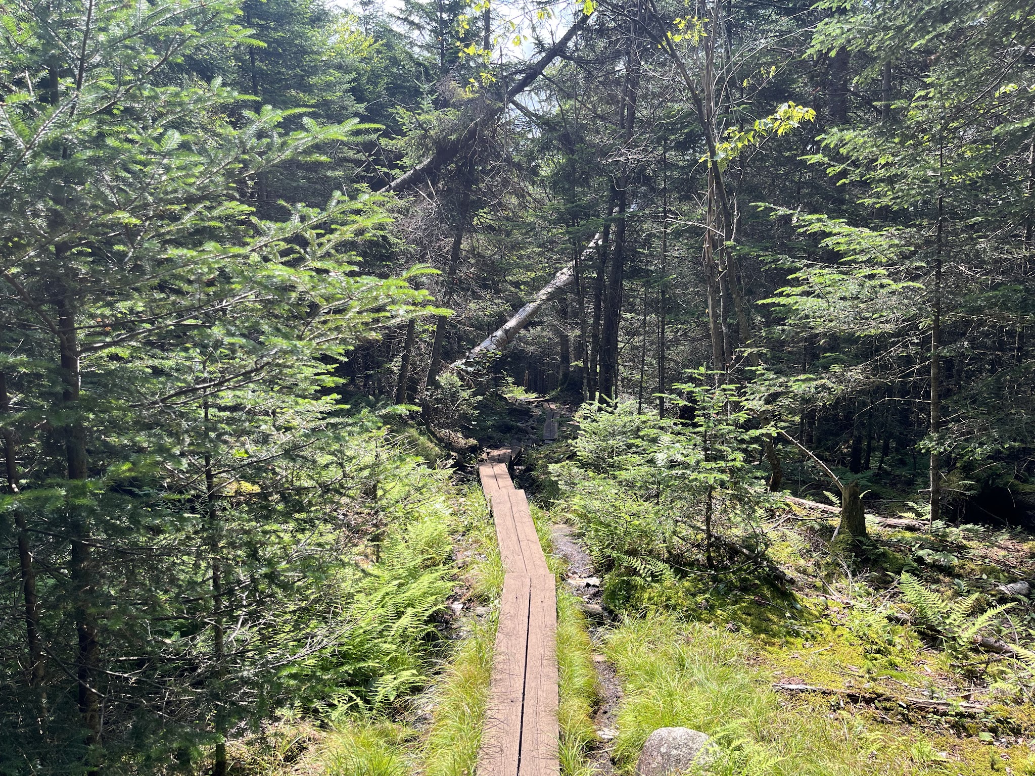Blue Mountain Fire Tower/Hiking Trail - Blue Mountain Lake, NY