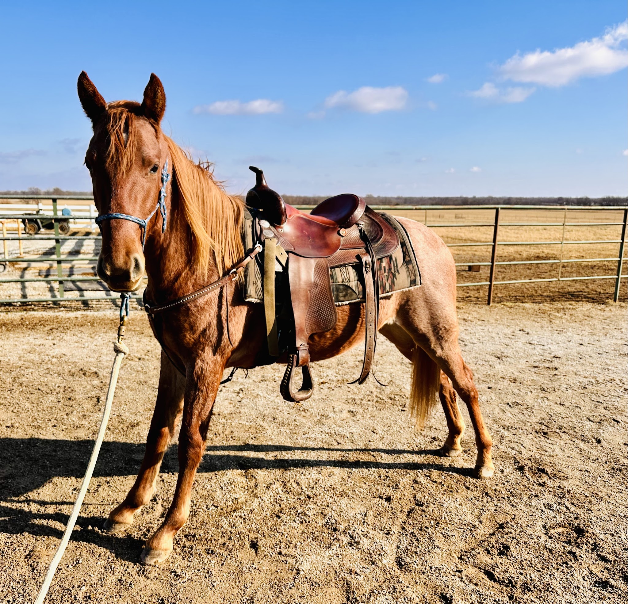 Crosscountry Kennels, LLC - Bluejacket, OK