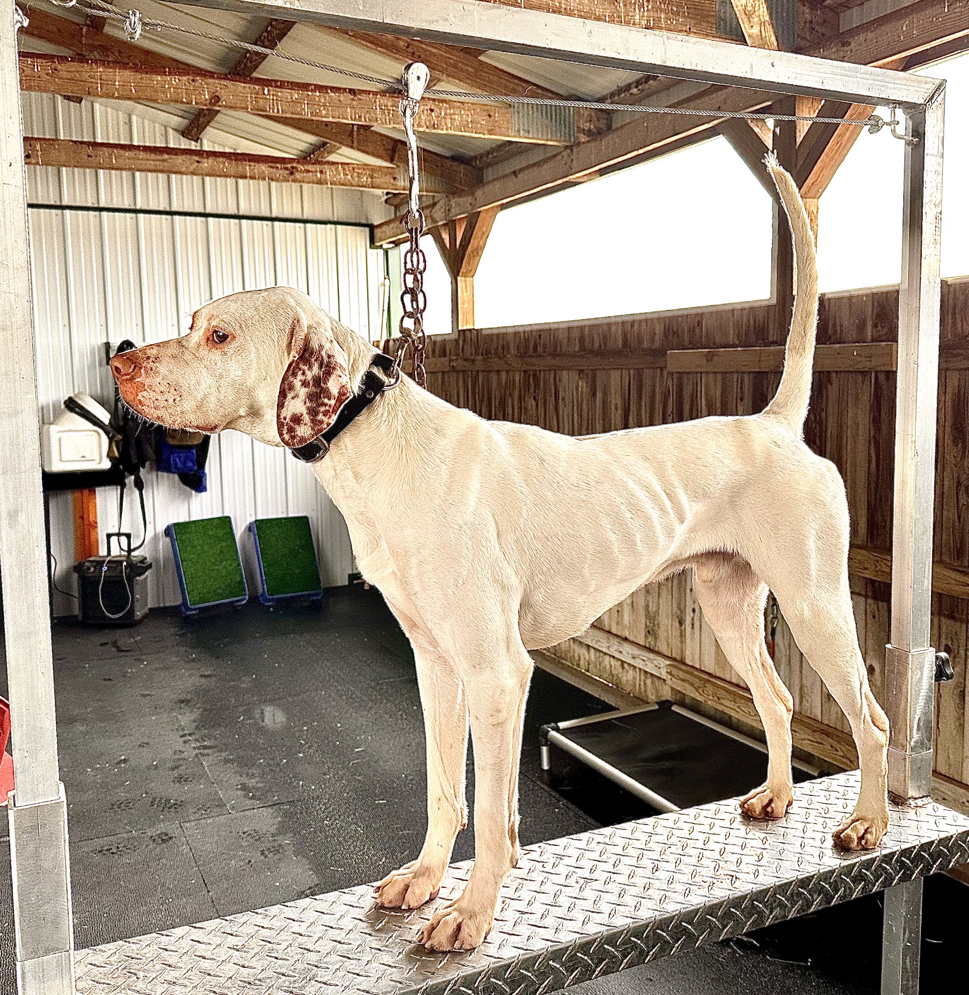 Crosscountry Kennels, LLC - Bluejacket, OK