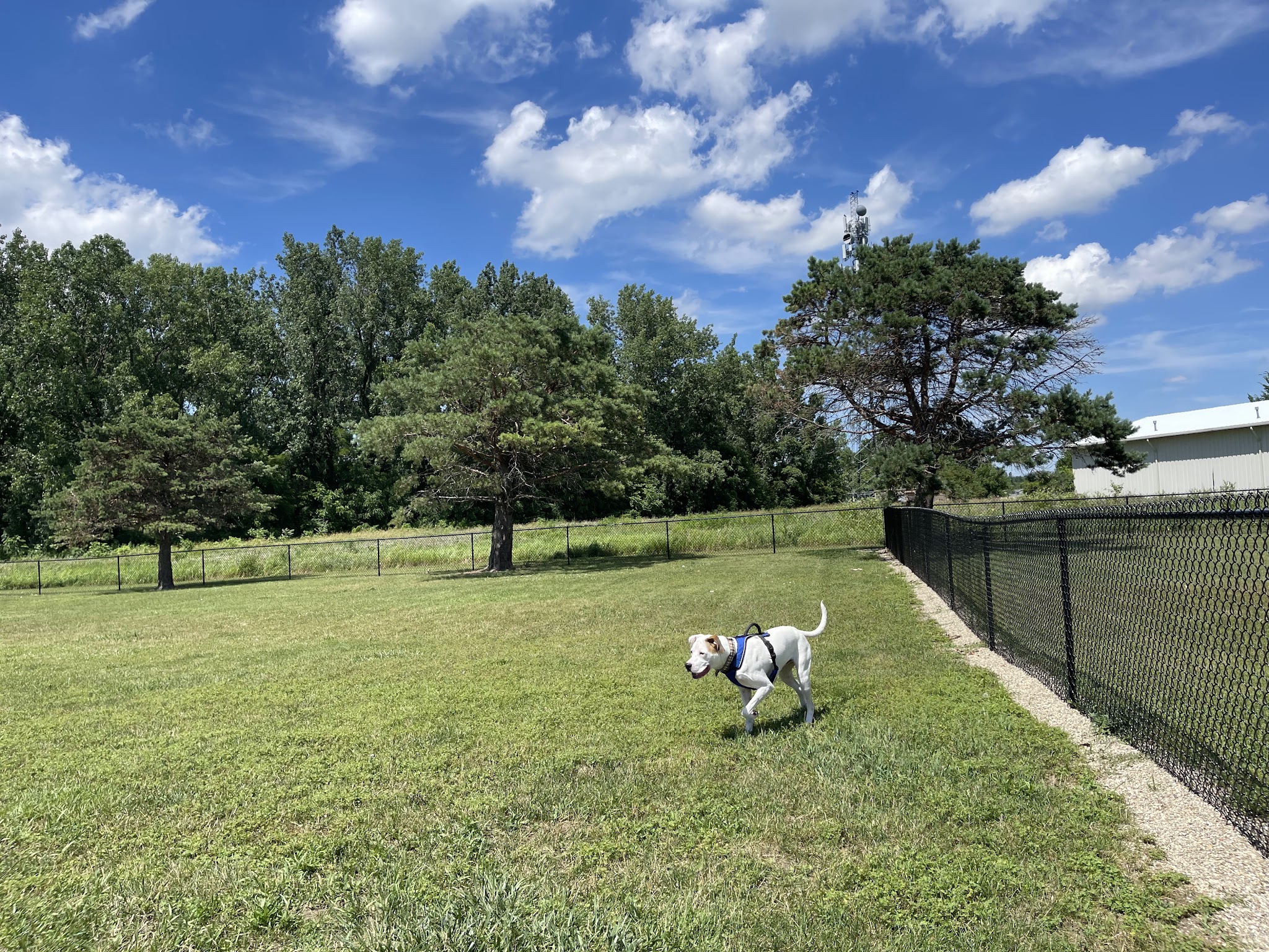 Bluffton Community Dog Park - Bluffton, OH