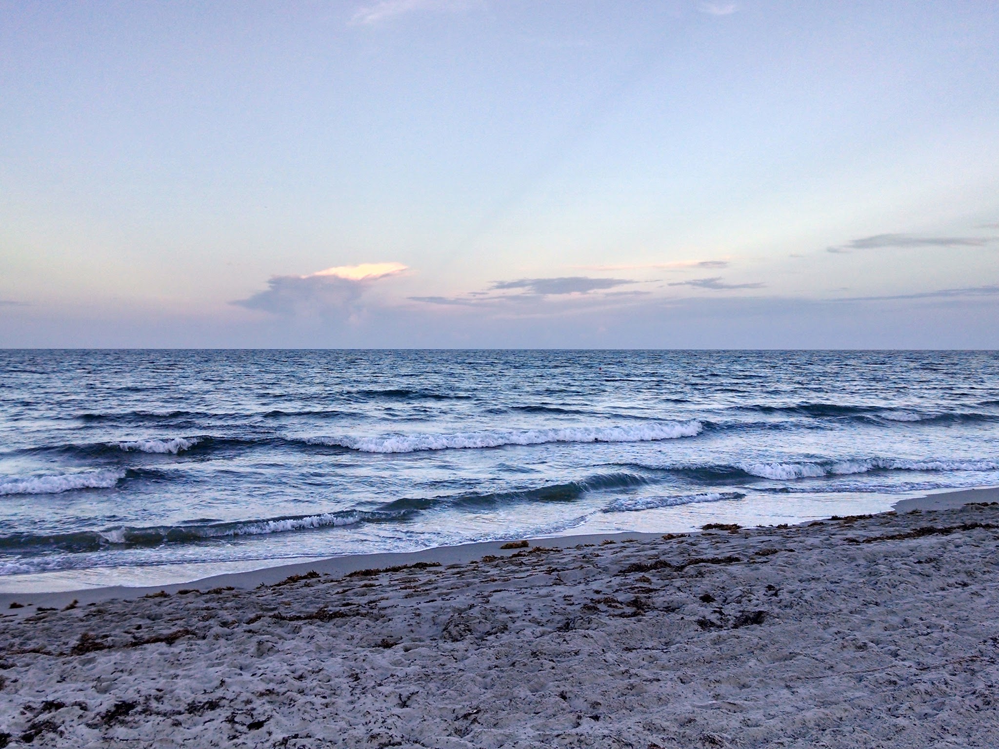 Weekend Dog Beach - Boca Raton, FL