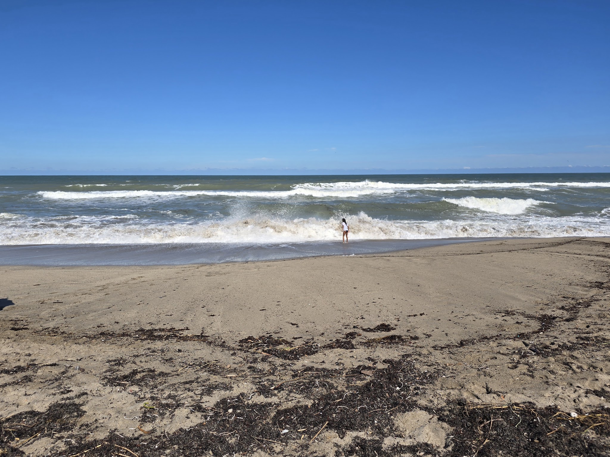 Weekend Dog Beach - Boca Raton, FL