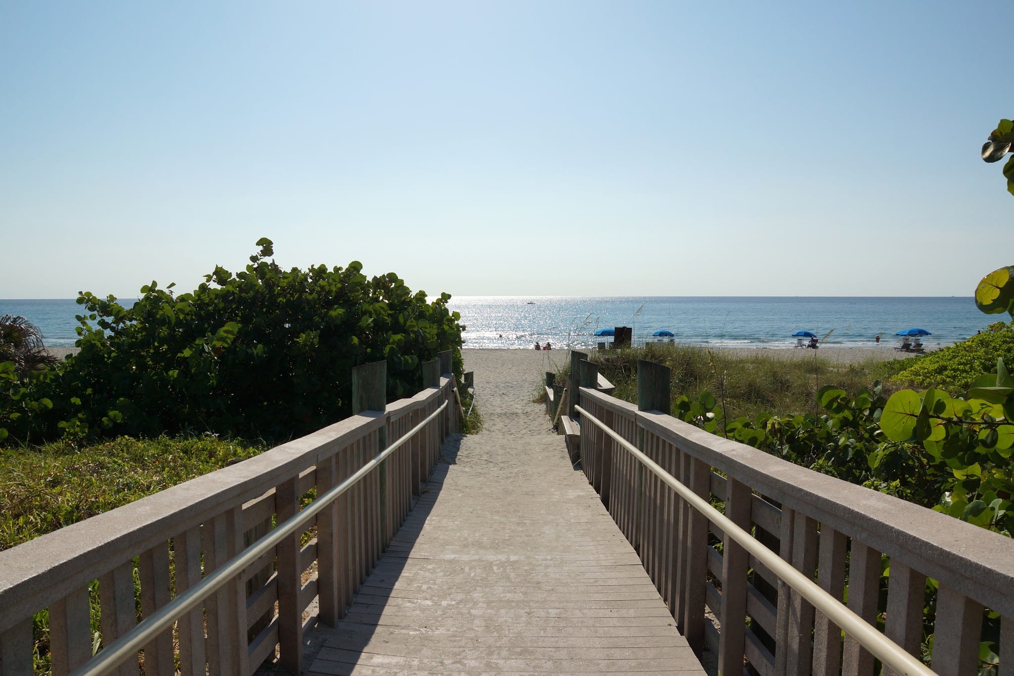 Weekend Dog Beach - Boca Raton, FL