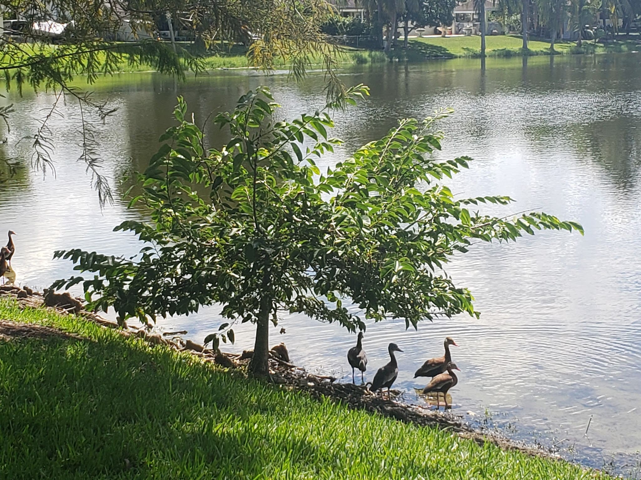 American Homes Park - Boca Raton, FL