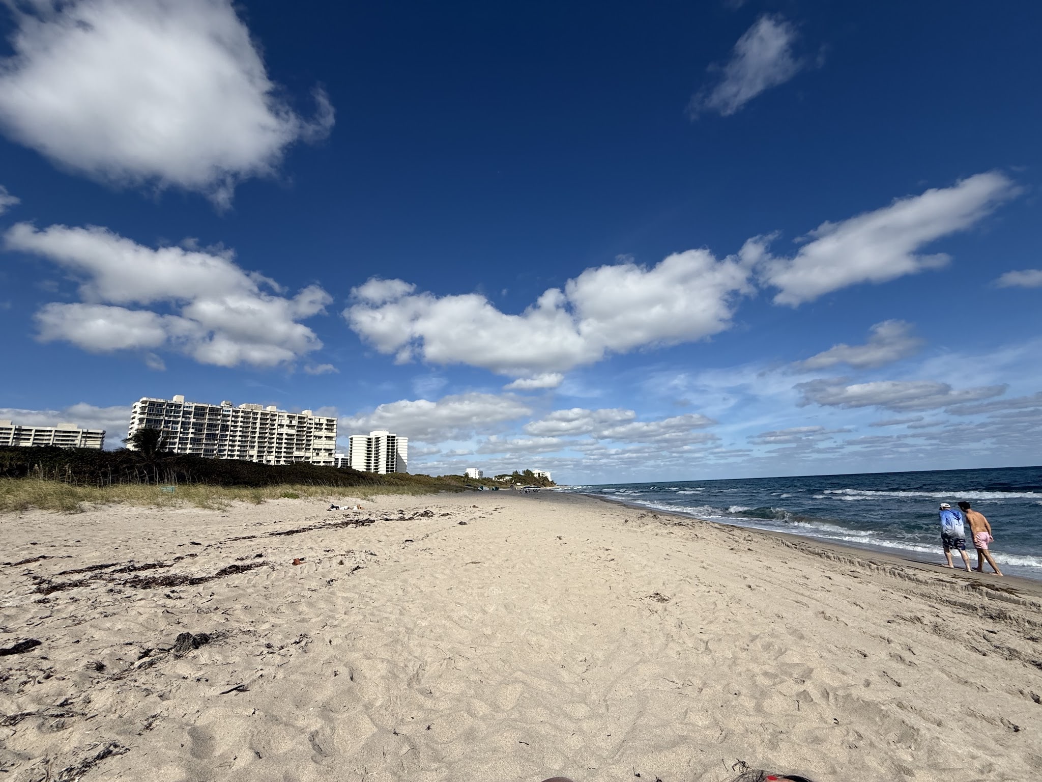 Bark Park Dog Beach - Boca Raton, FL