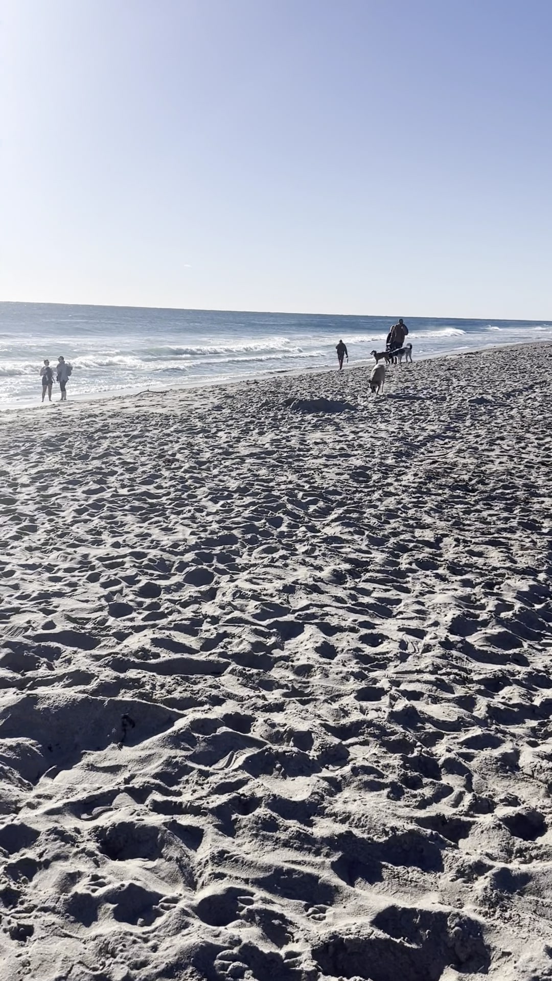 Bark Park Dog Beach - Boca Raton, FL