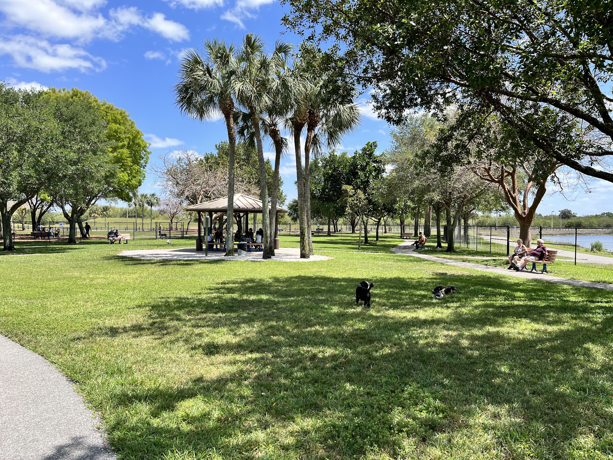 Canine Cove at South County Regional Park - Boca Raton, FL
