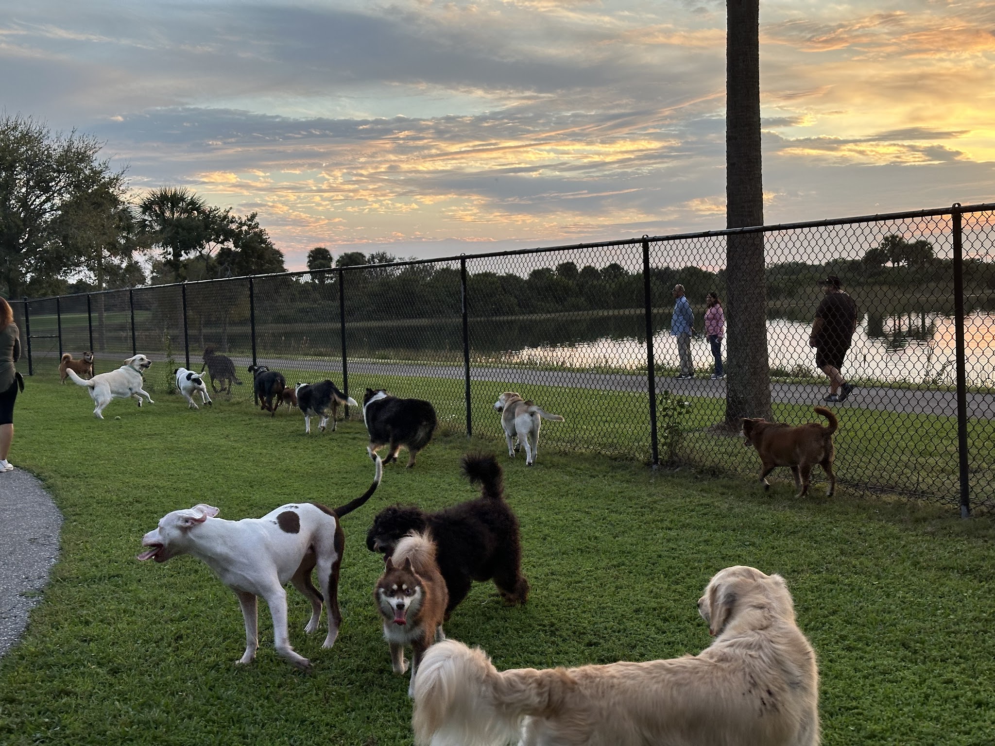 Canine Cove at South County Regional Park - Boca Raton, FL