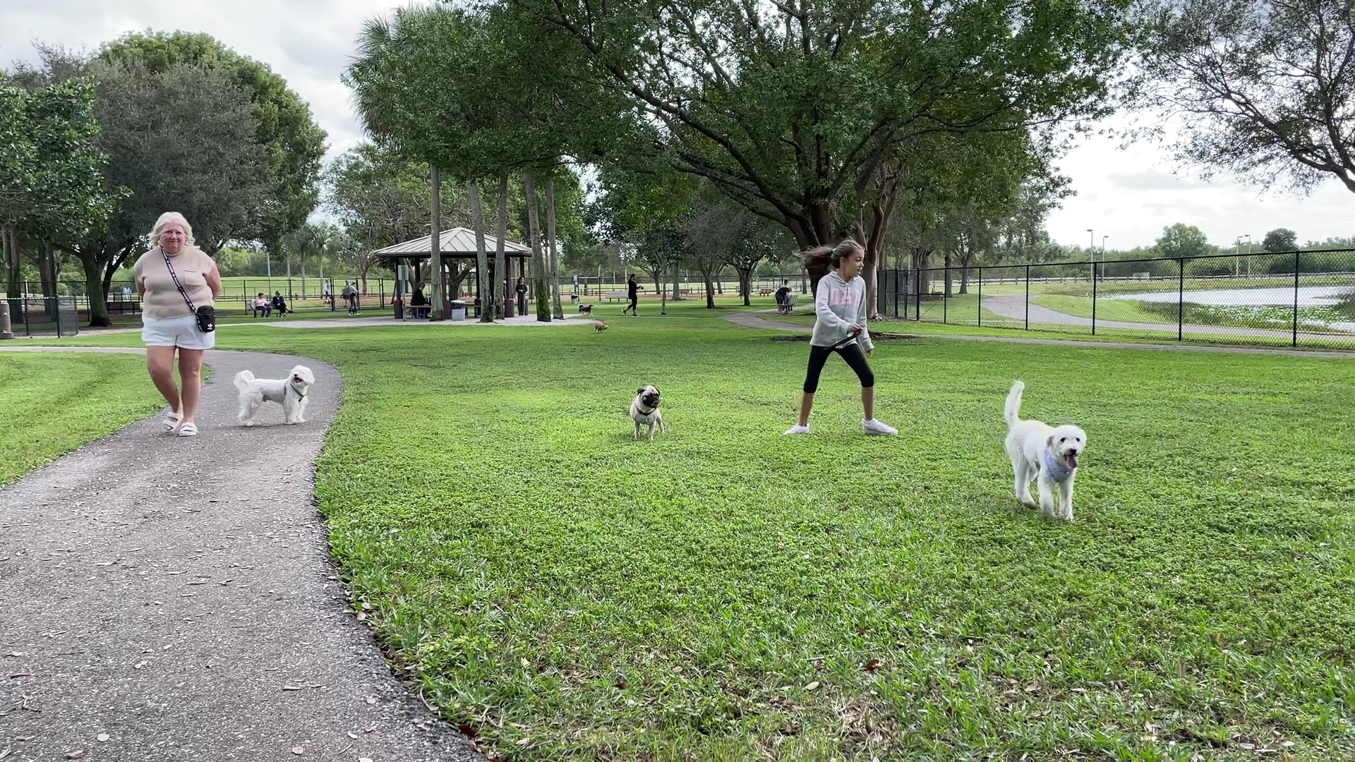 Dog Park - Boca Raton, FL