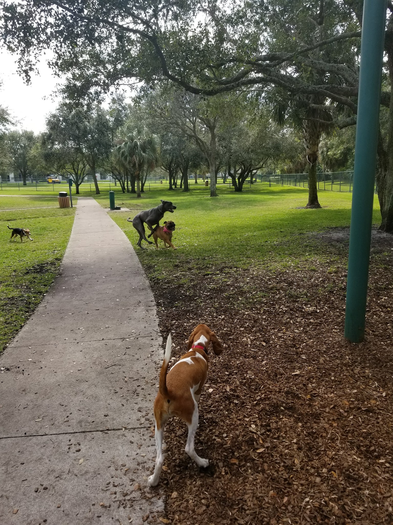 Mizner Bark Dog Park - Boca Raton, FL