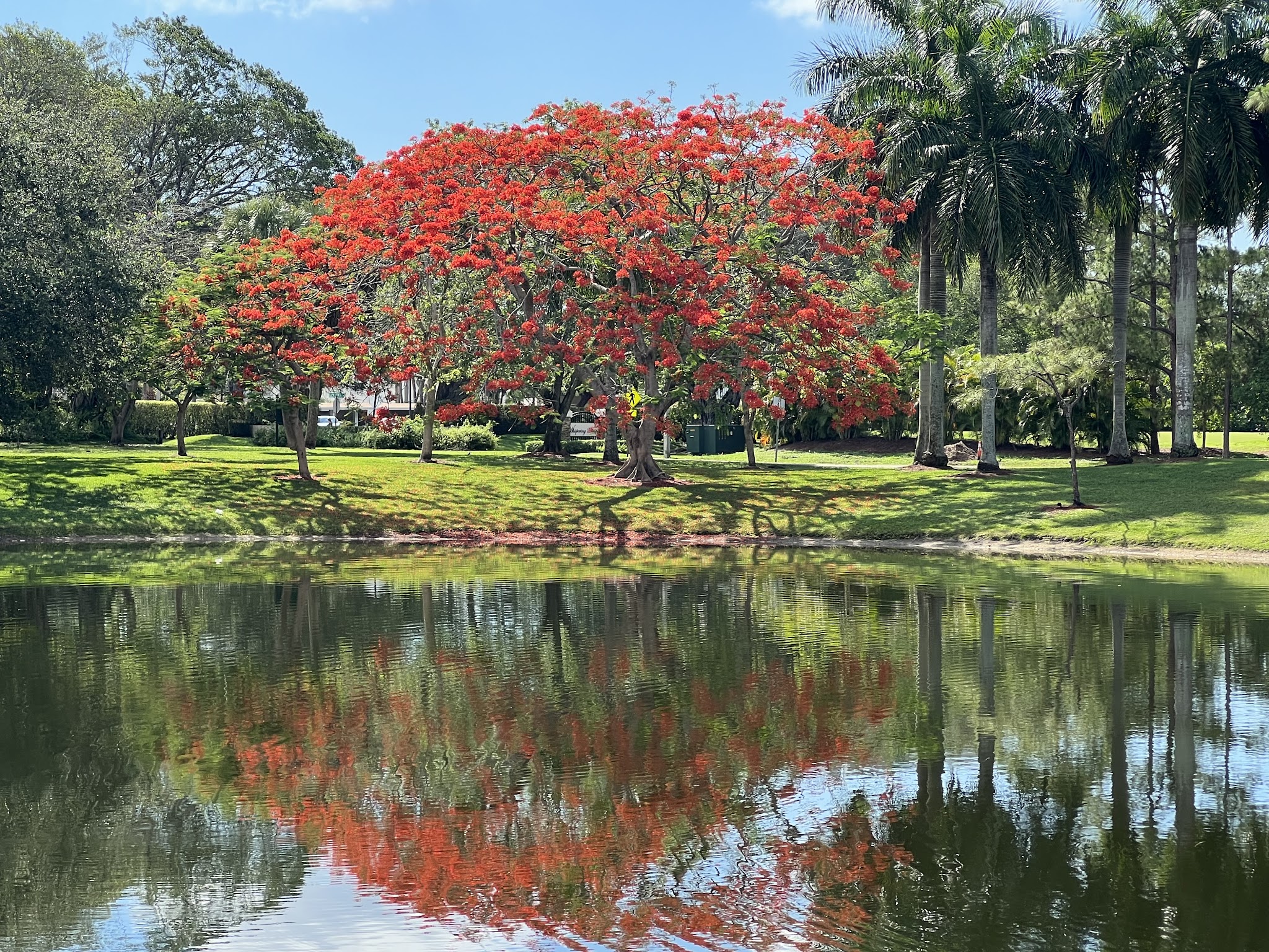Parque Placido - Boca Raton, FL