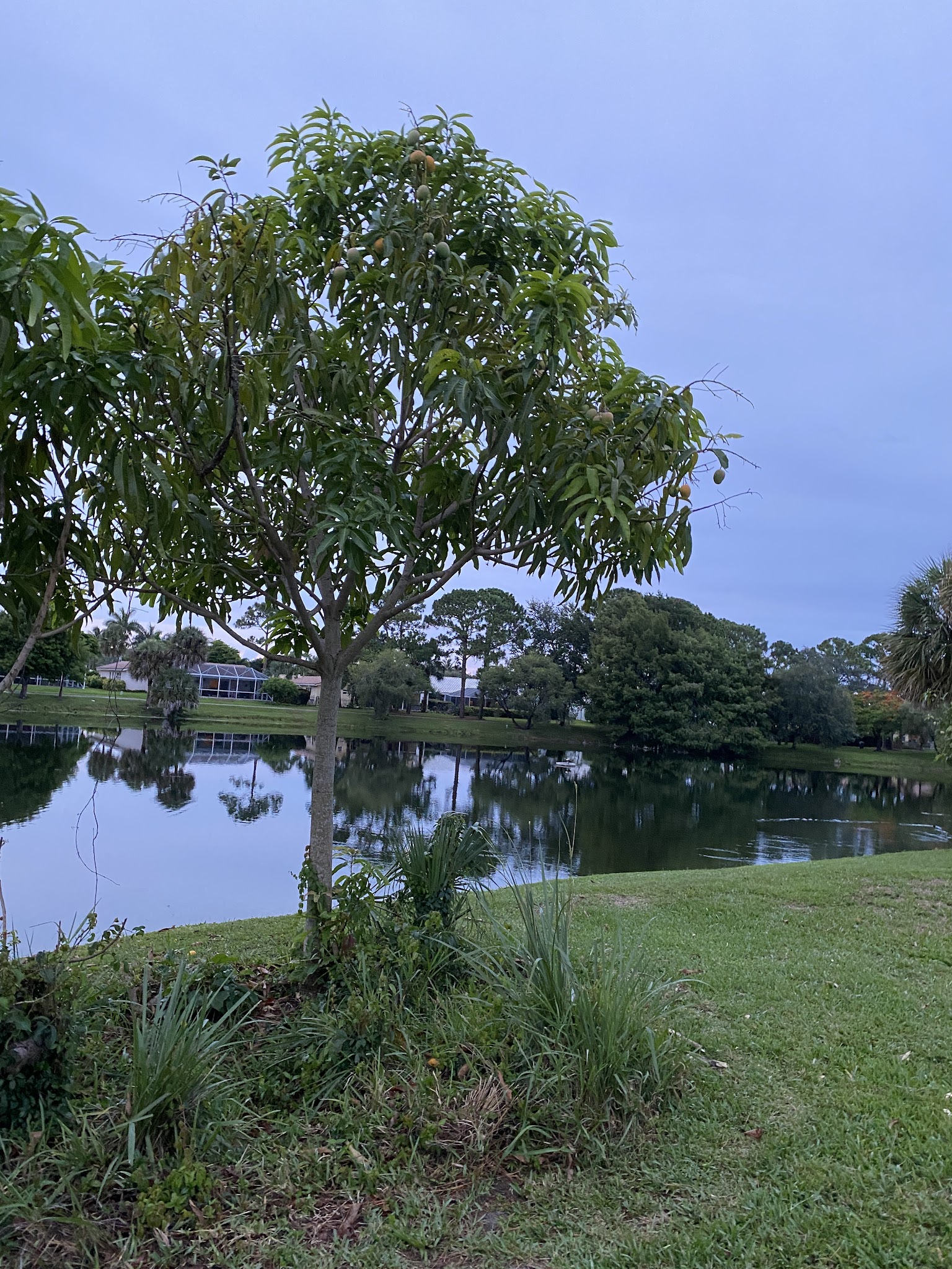 Pinewood Park - Boca Raton, FL