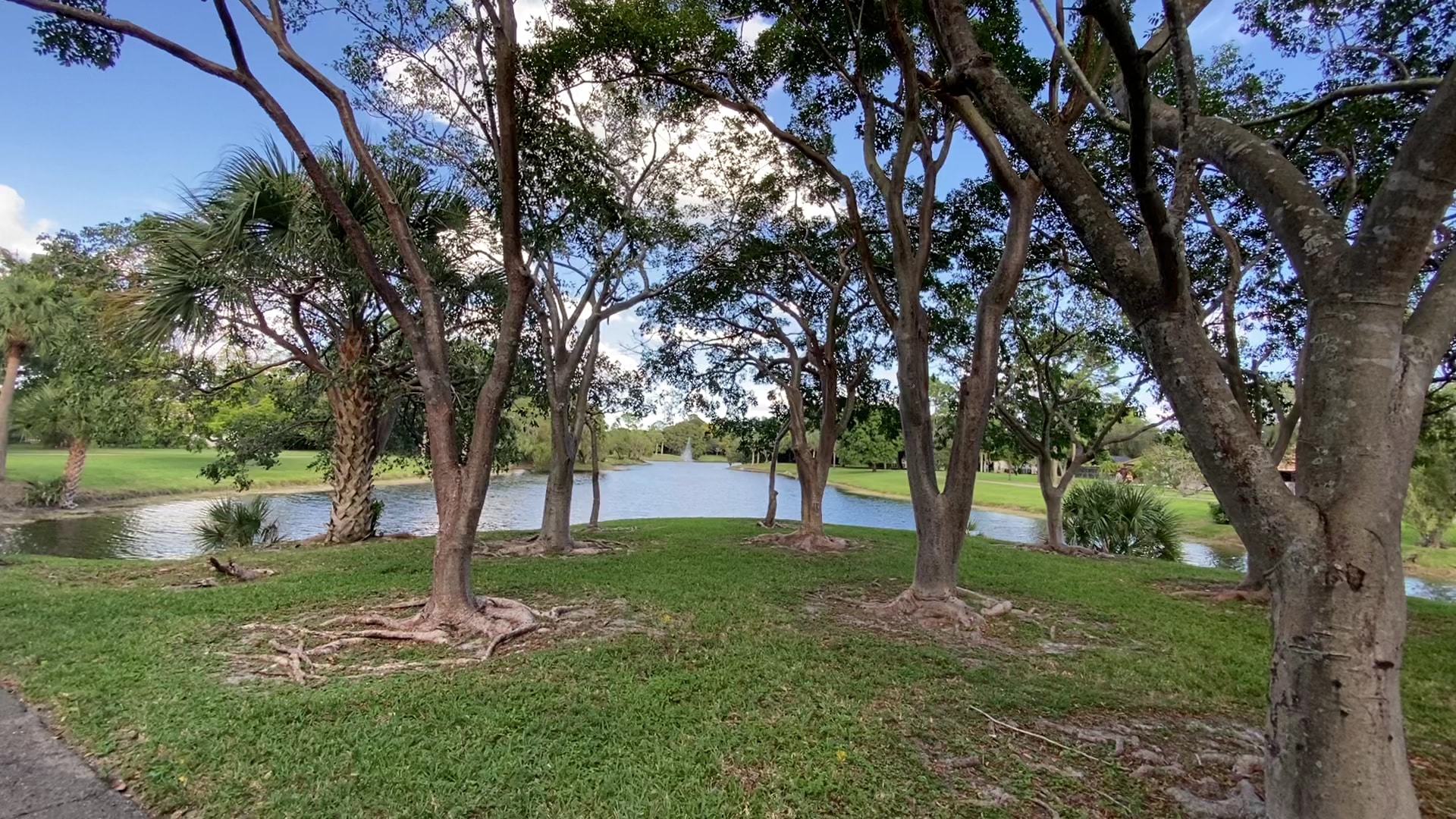 Pinewood Park - Boca Raton, FL