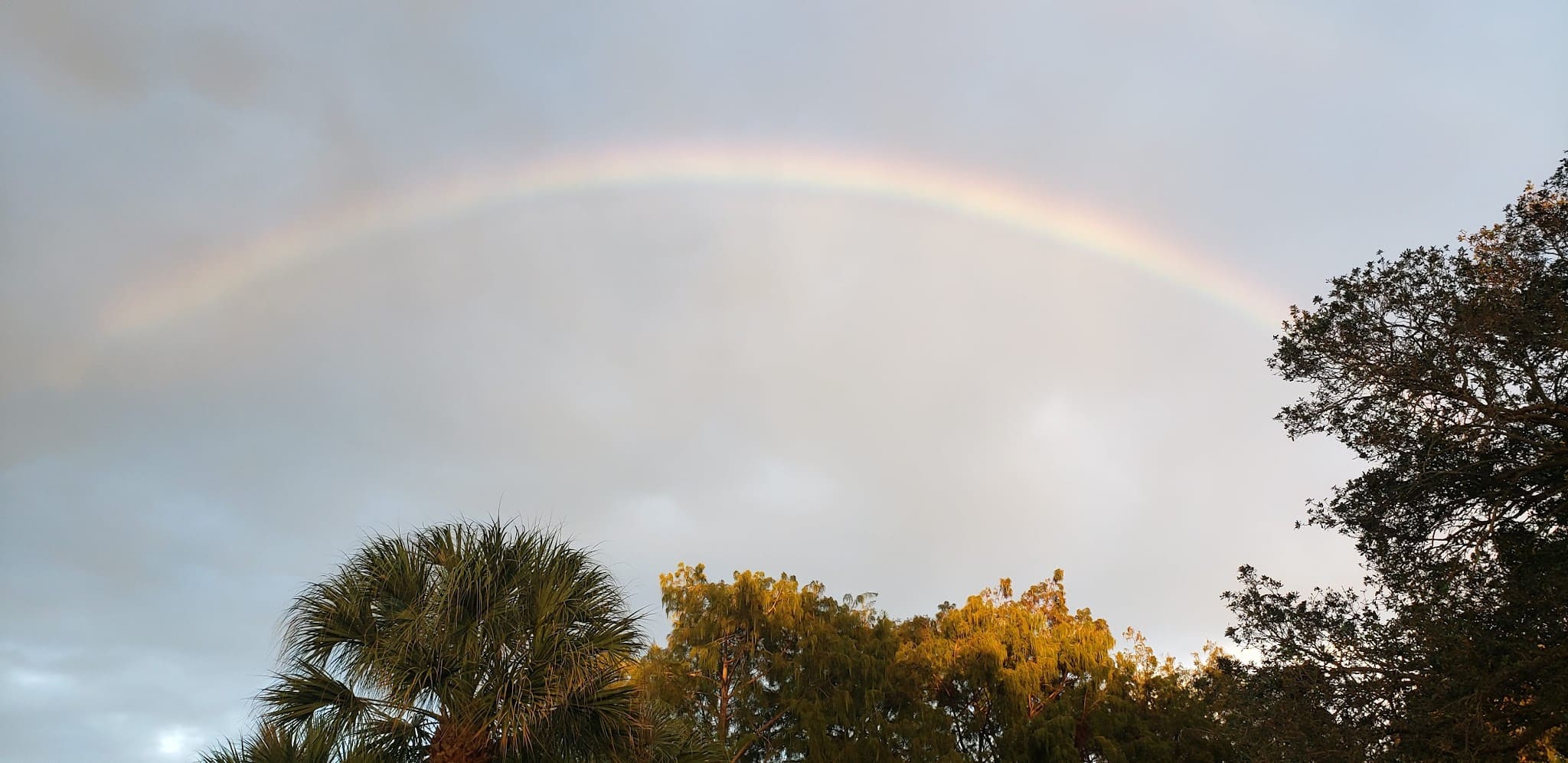 Pinewood Park - Boca Raton, FL