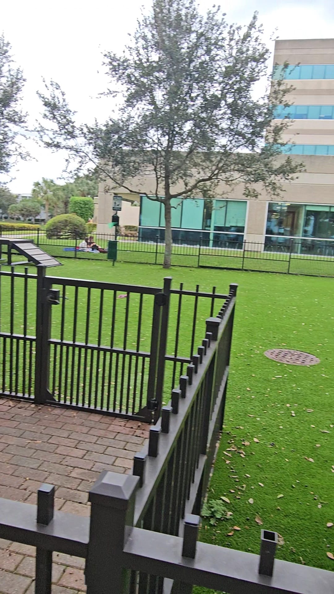 WAG - Boca Raton, FL