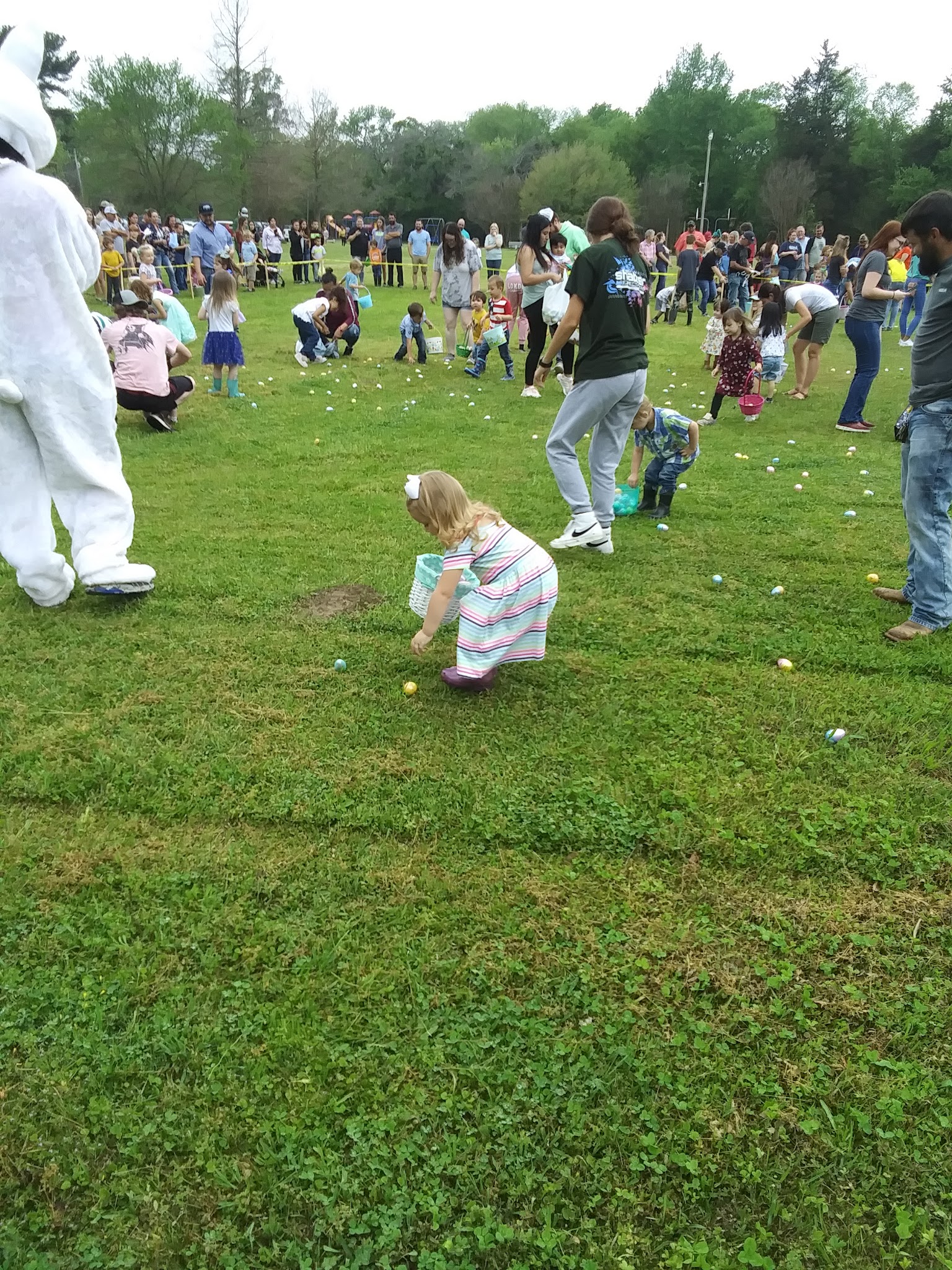 Thomas Park - Bogata, TX